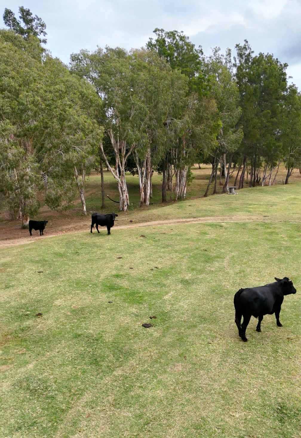 Ilbilbie Station Farm Stay