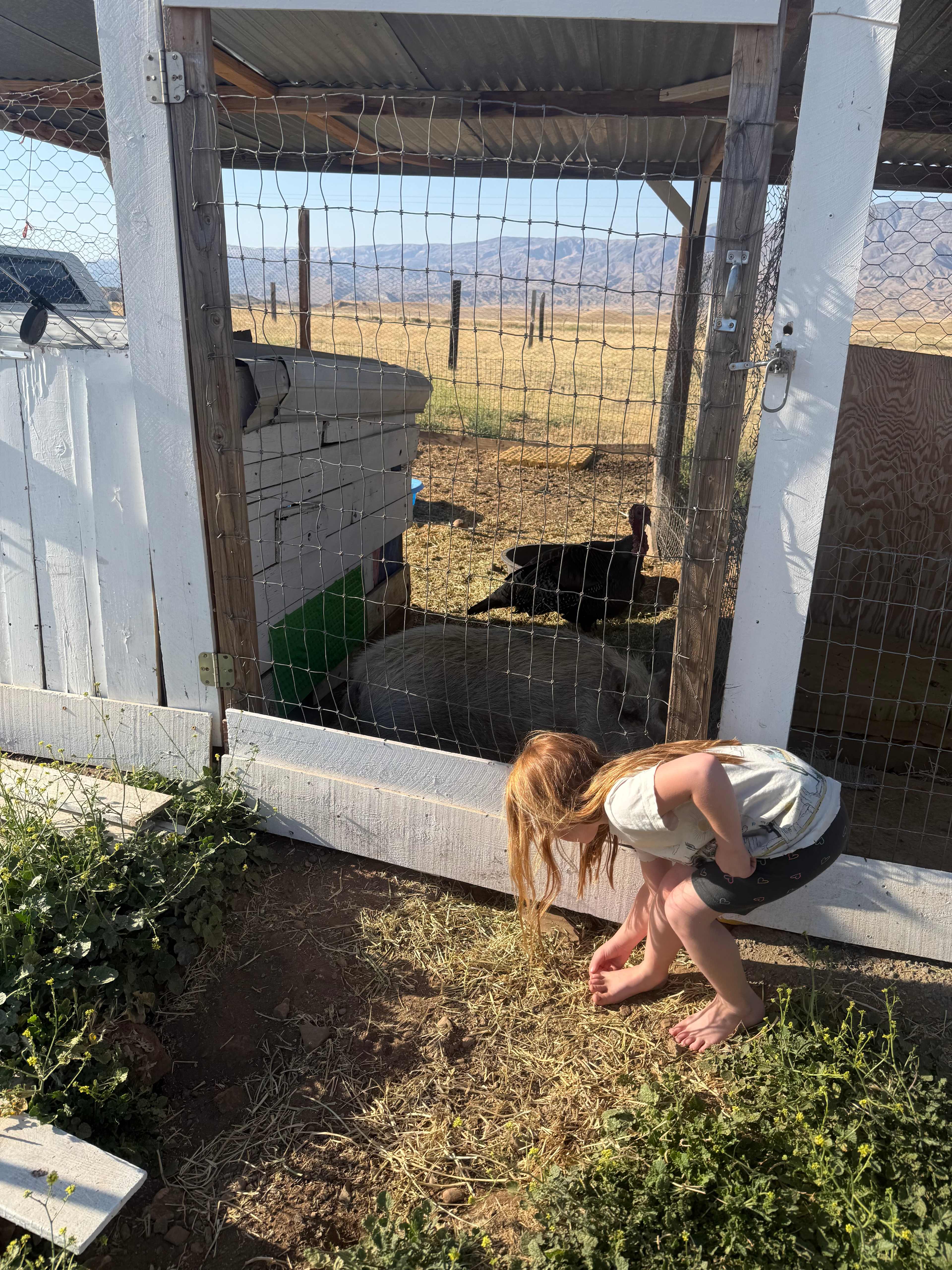 Cuyama Oaks Ranch