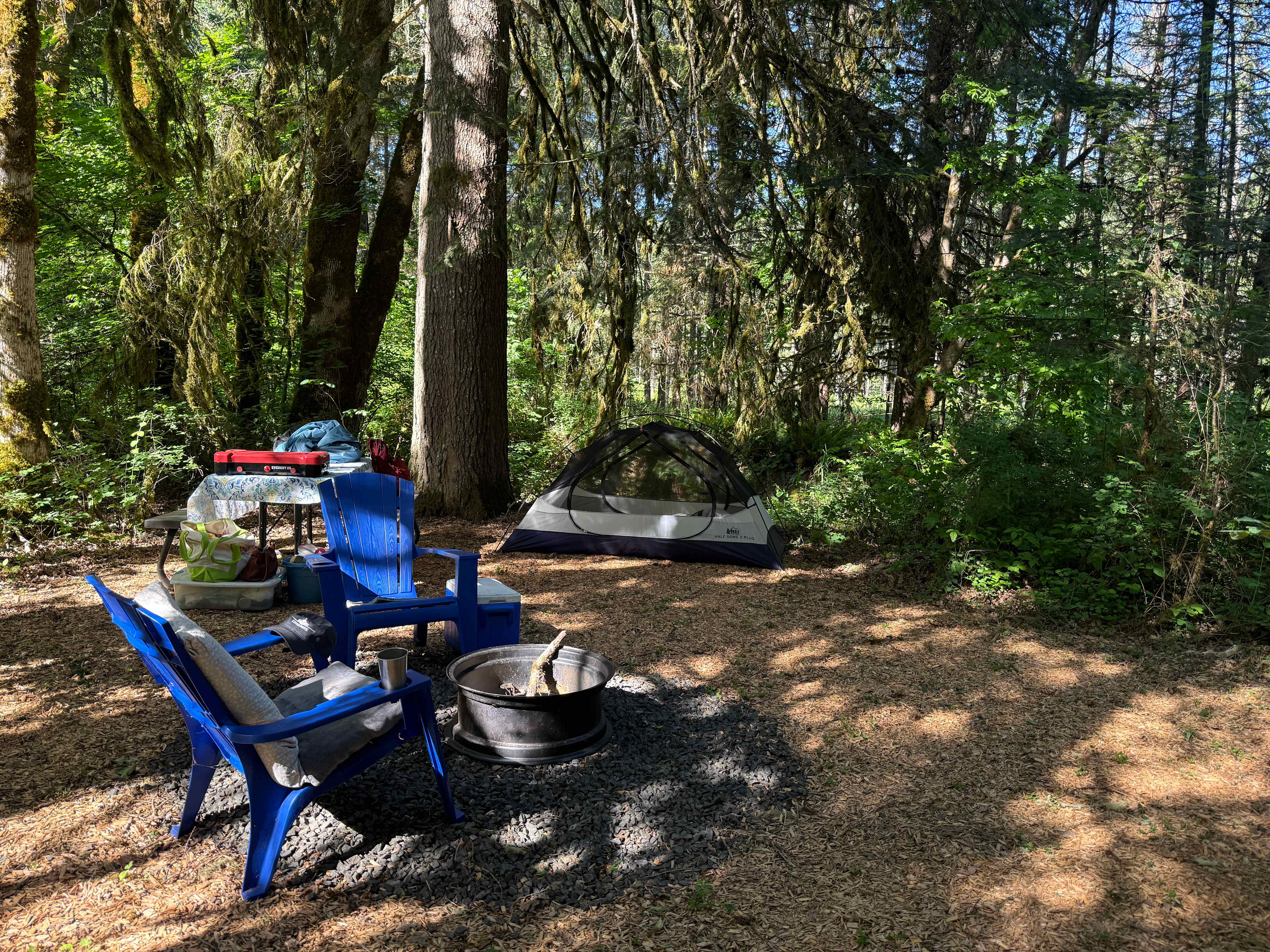 Mossy Nook site 