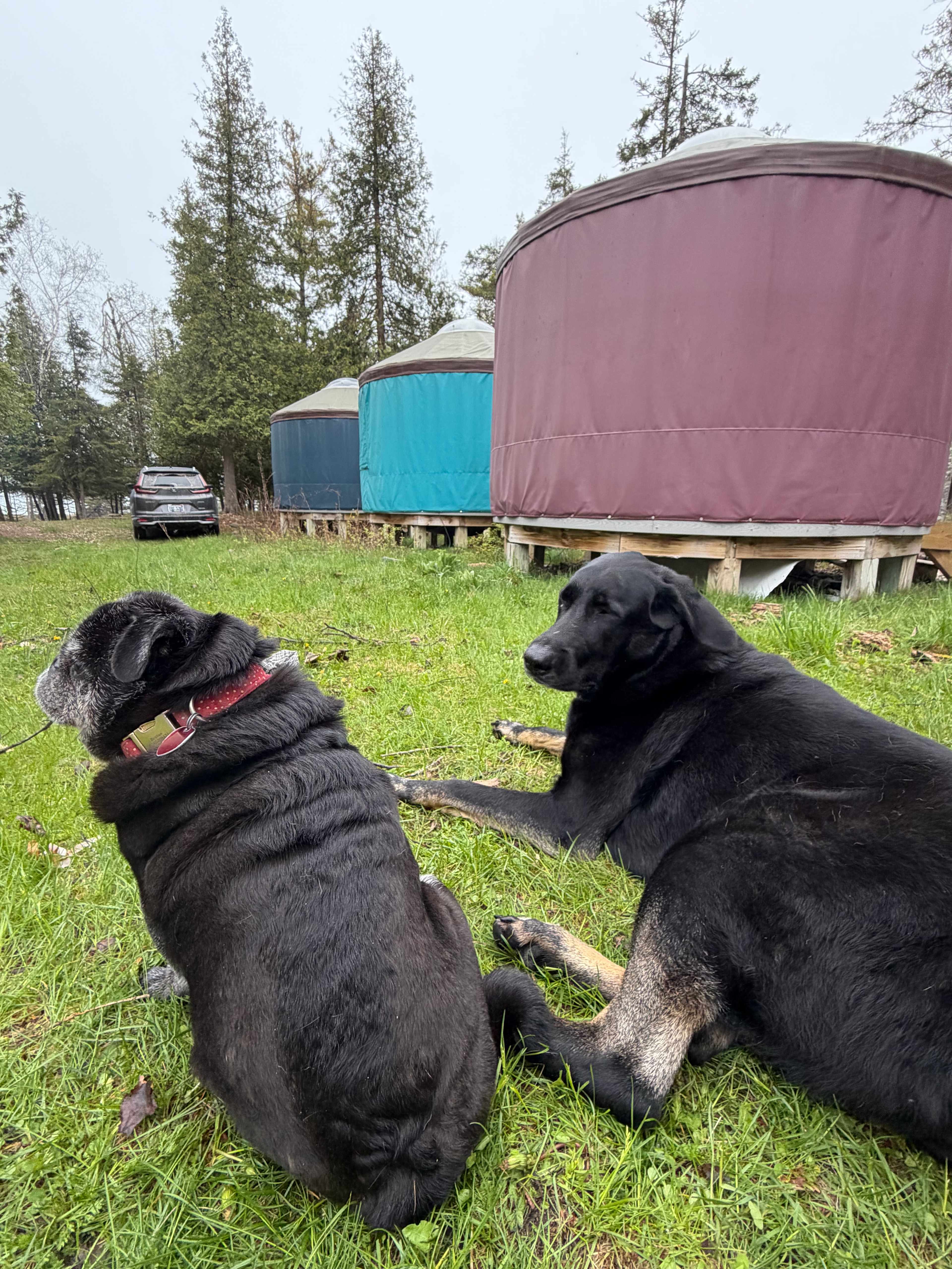 Island Yurts & Jasper Moss Retreat