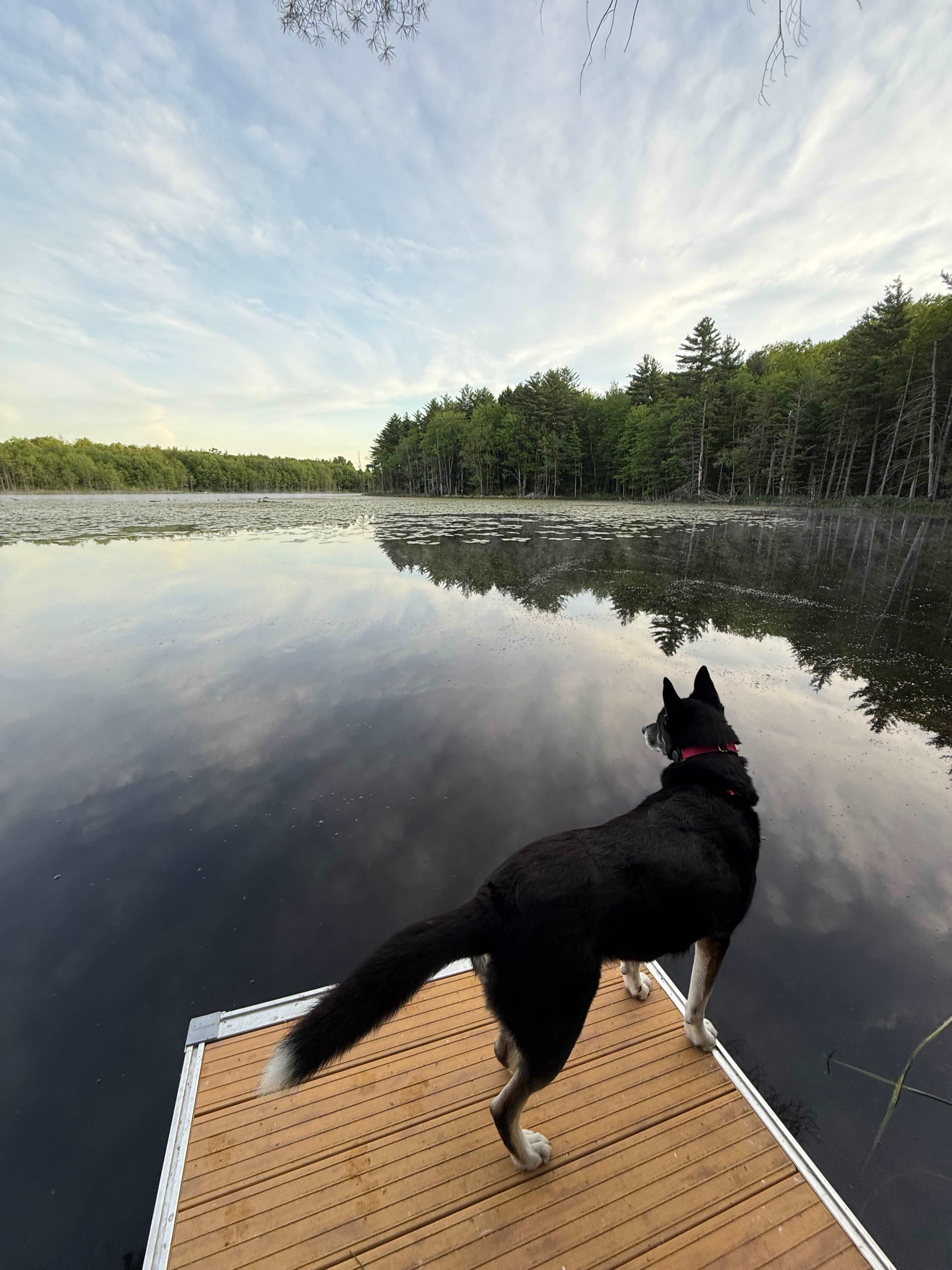 The Dam House At Beaver Pond