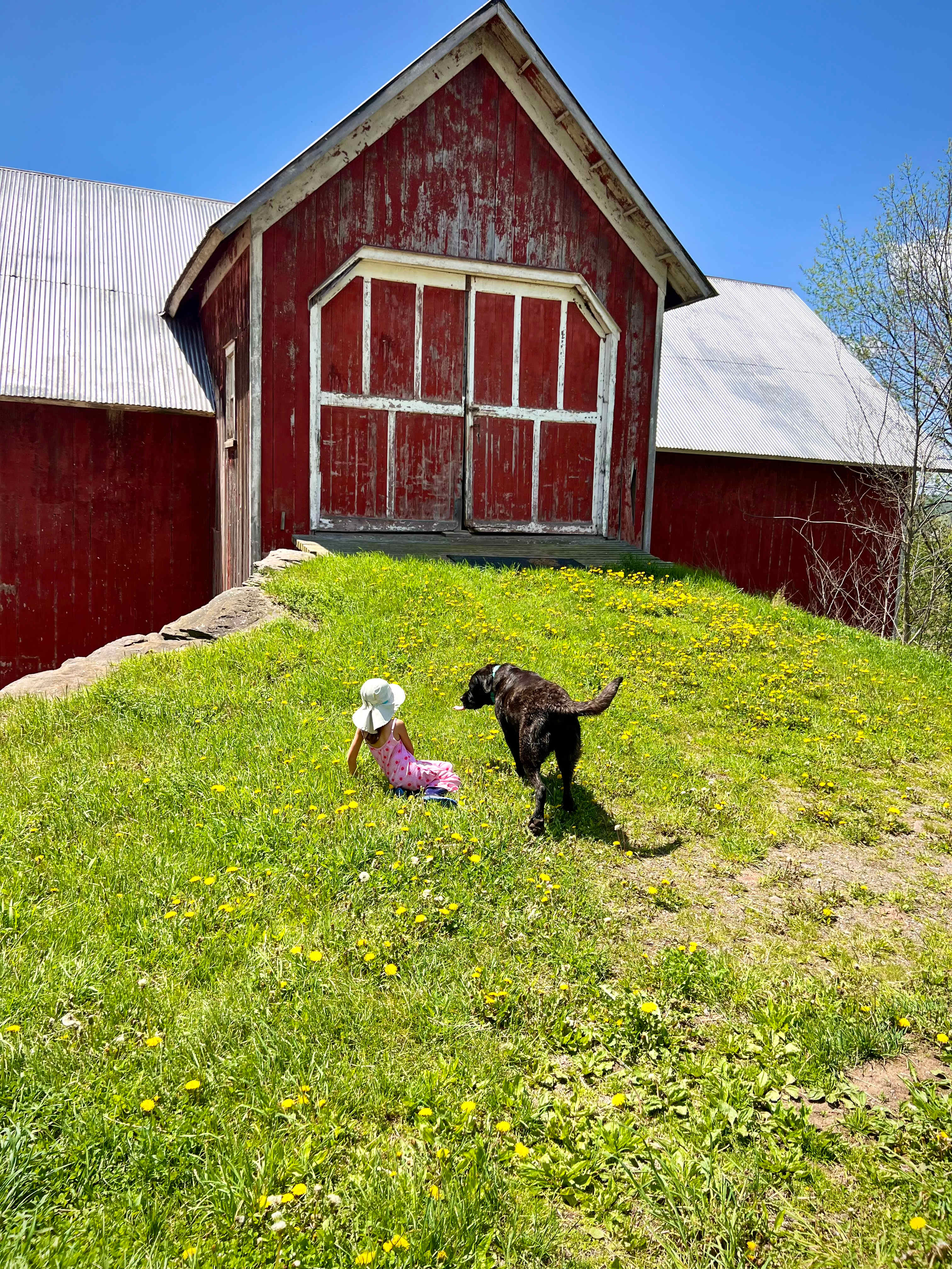 Catskills Farmhand Cabin