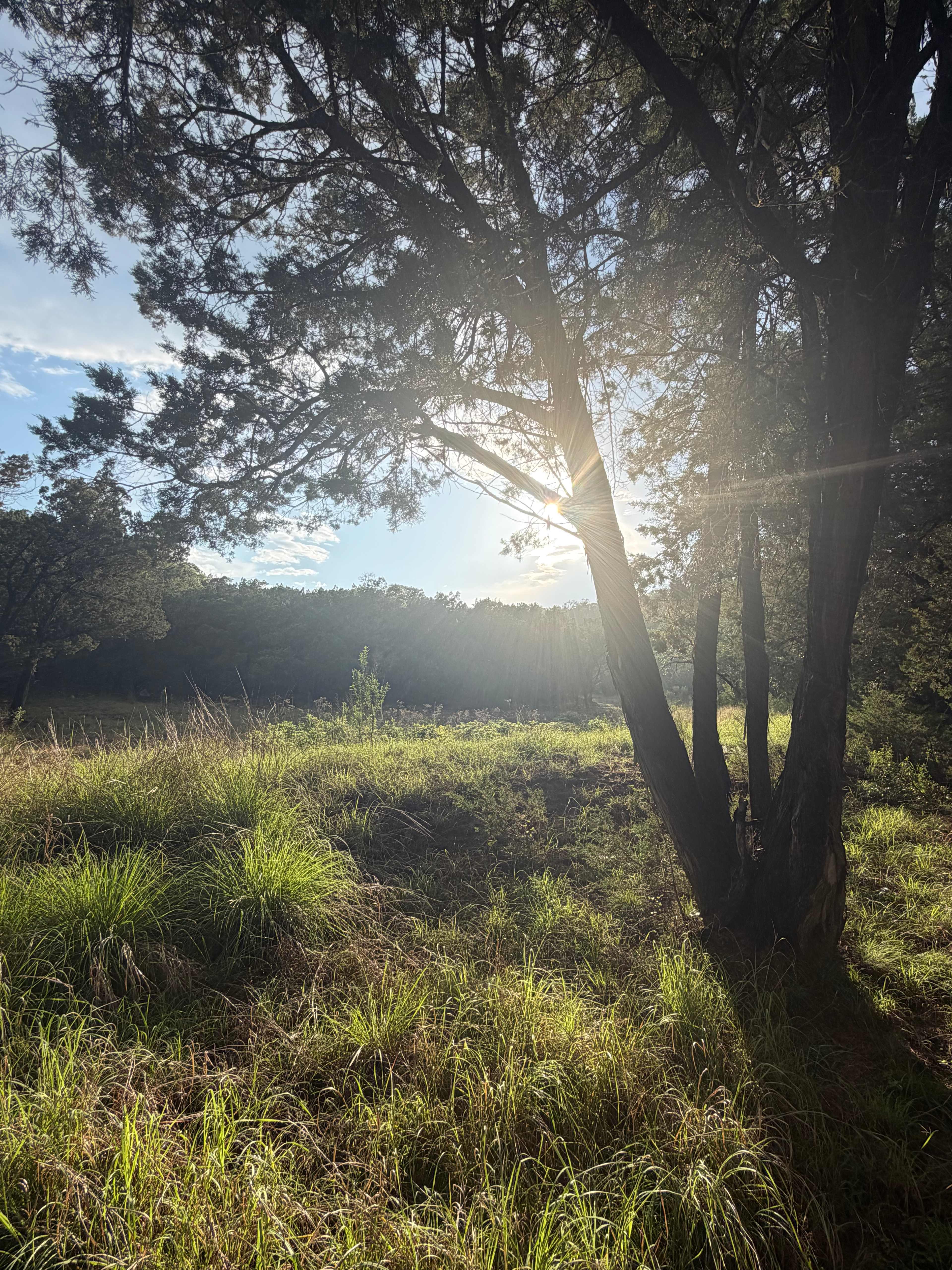 The Charmadillo: Glamping Resort