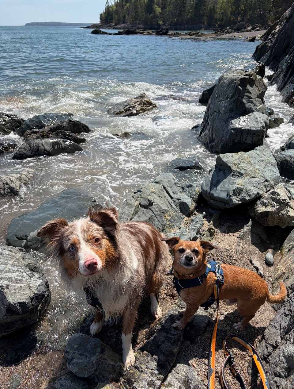 Jasper Beach 