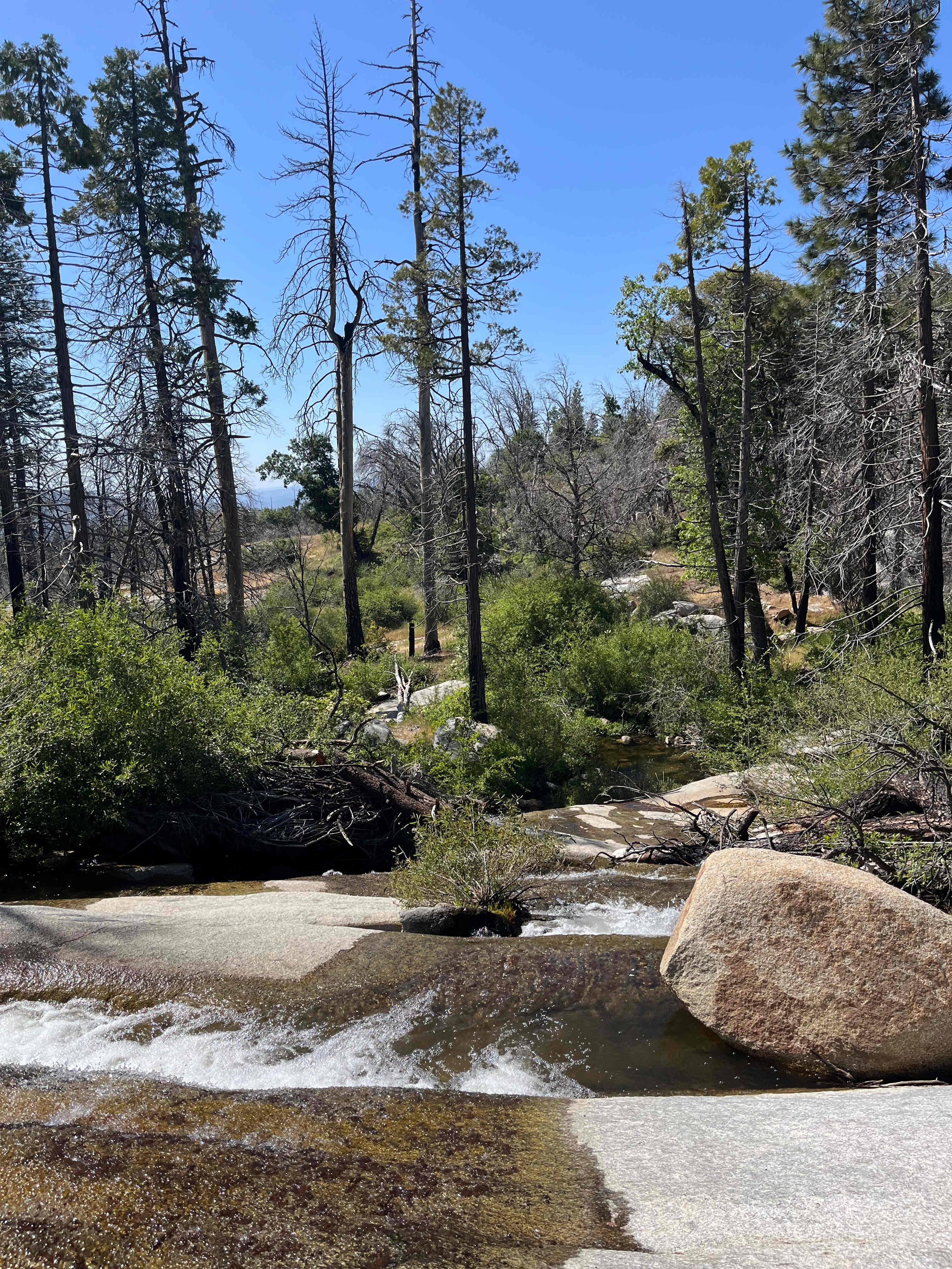 Musick Creek Falls  by Shaver Lake