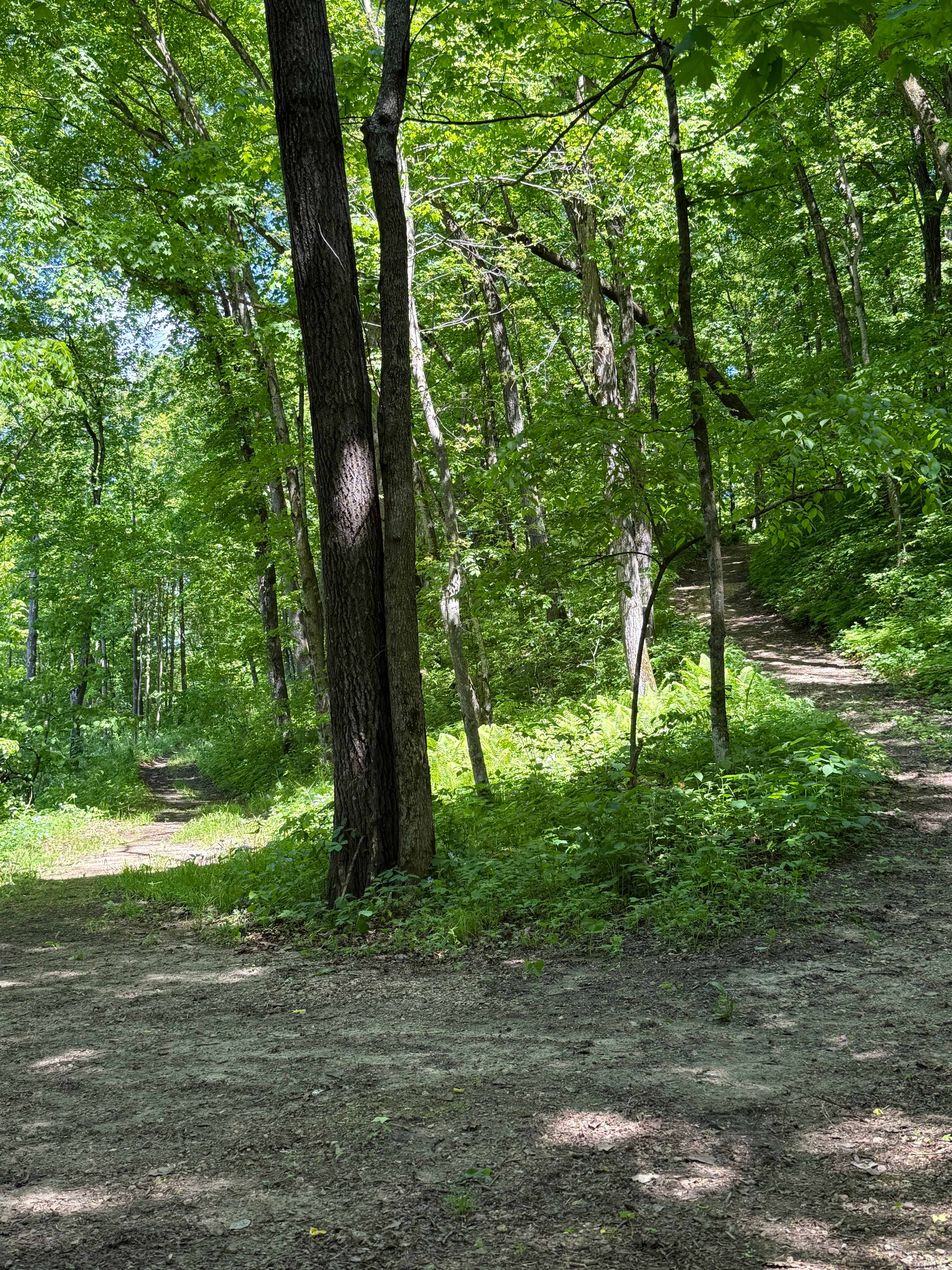 Belle Creek Bluff