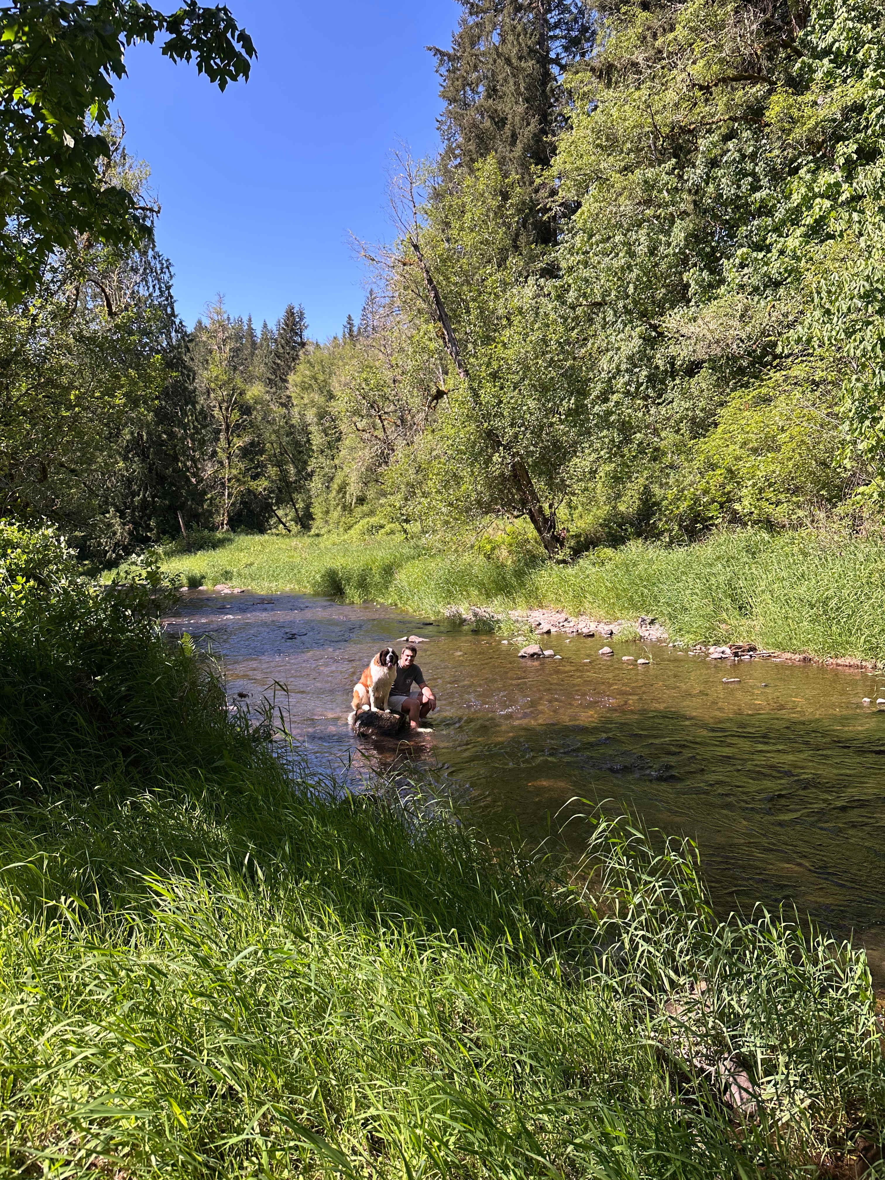 Western Meadow Creekside Retreat