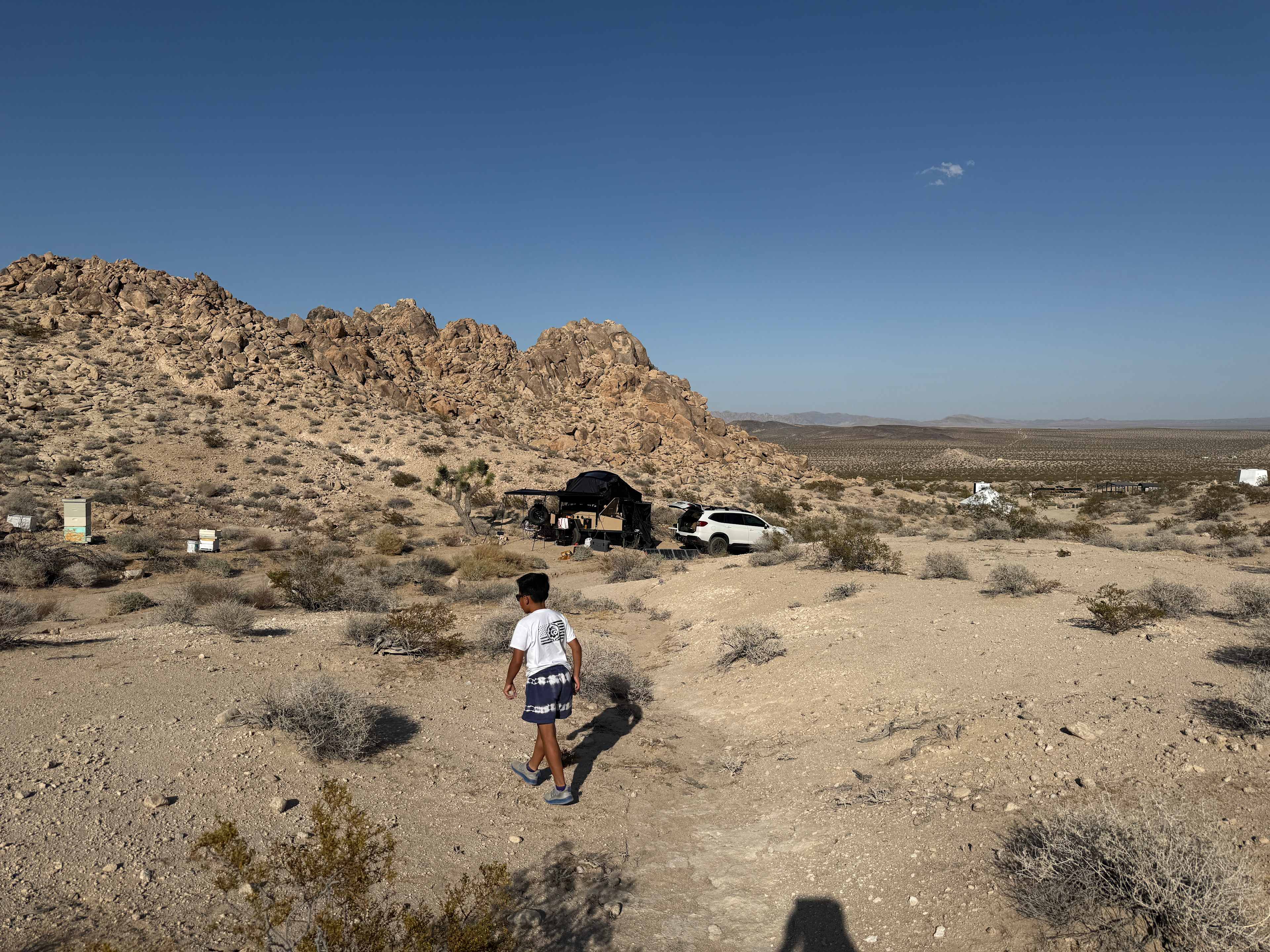 Xbone's Desert Life | Mojave Desert