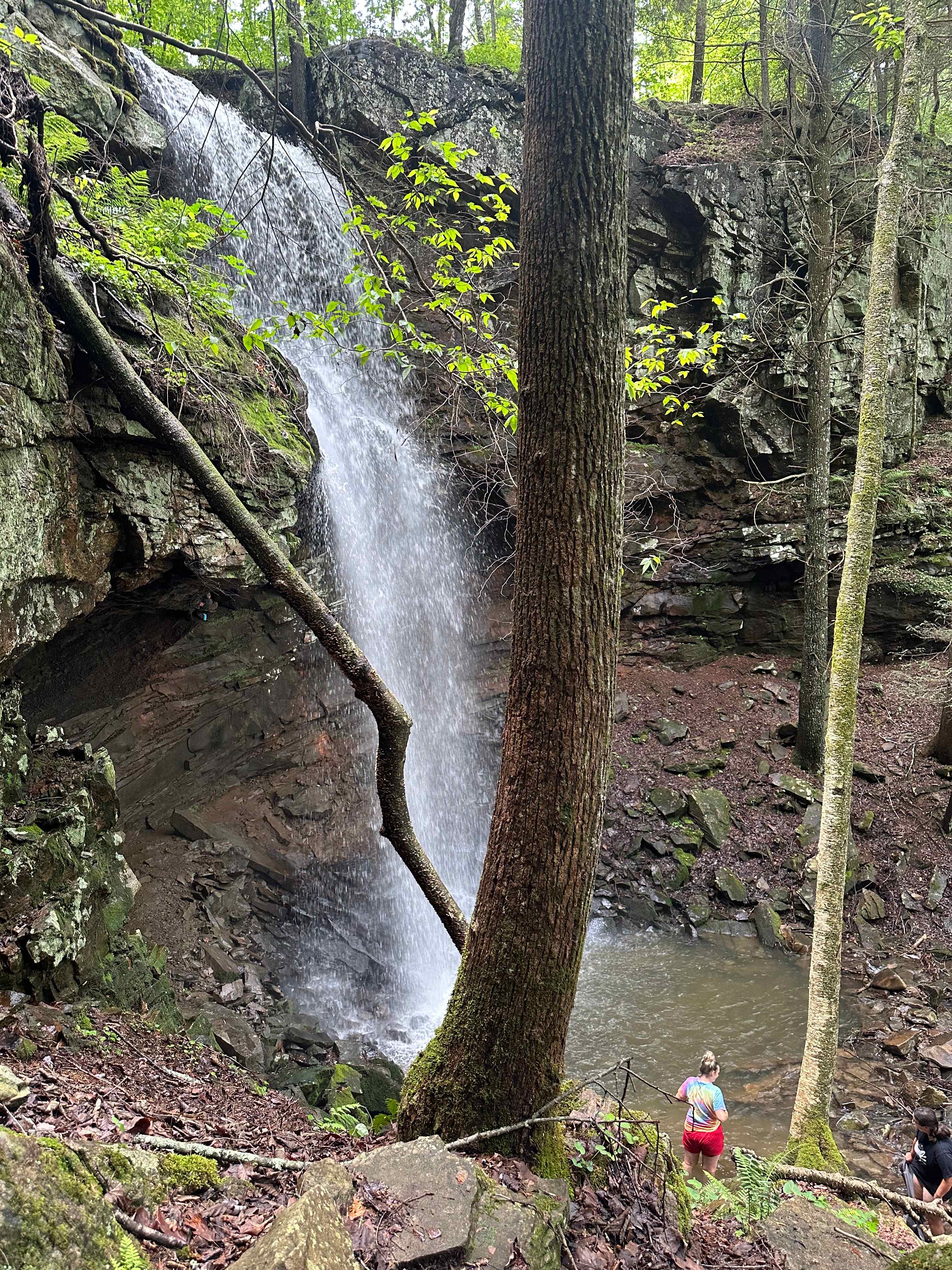 The Falls at Sewanee Creek