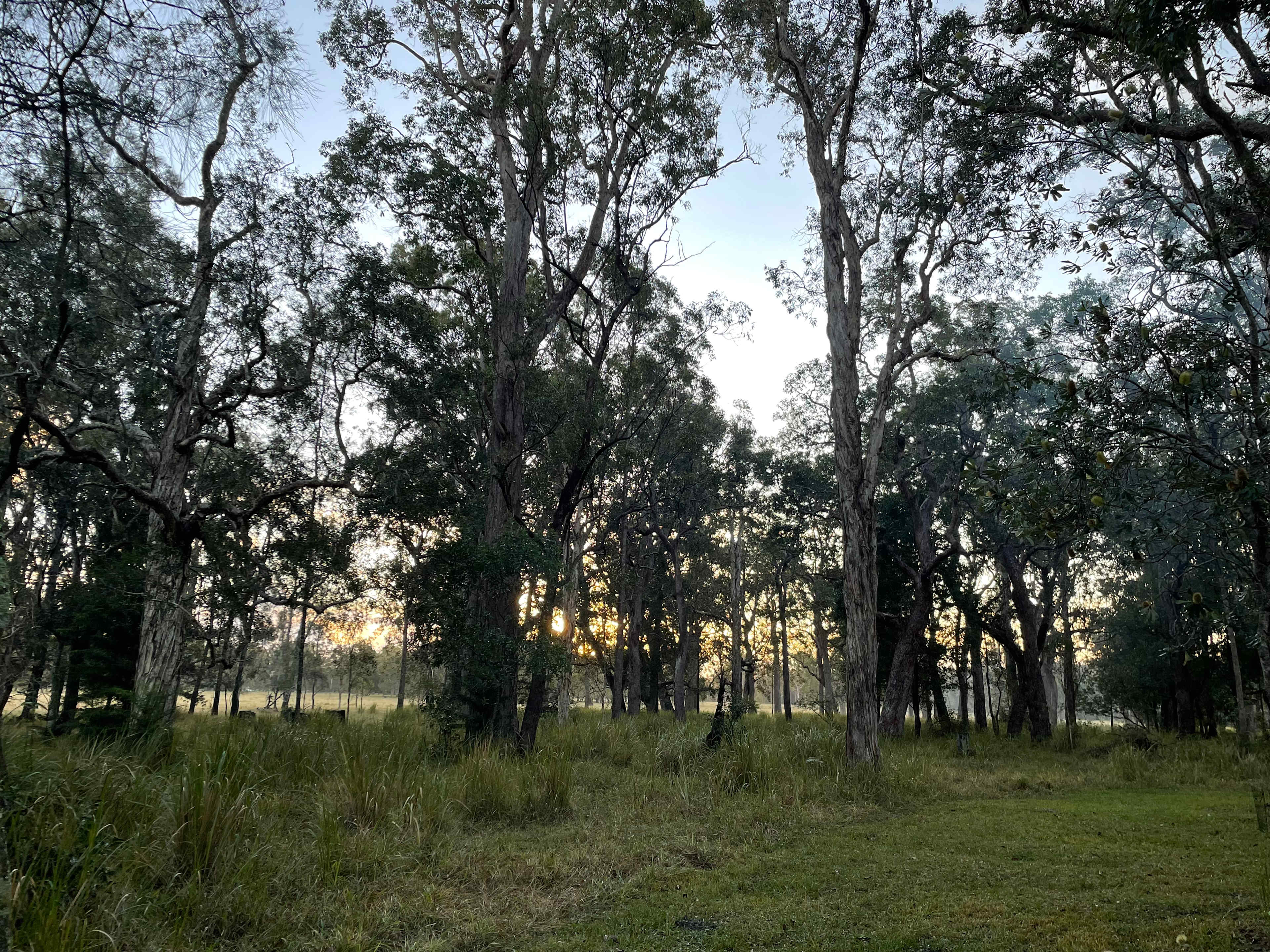 Sawpit Creek