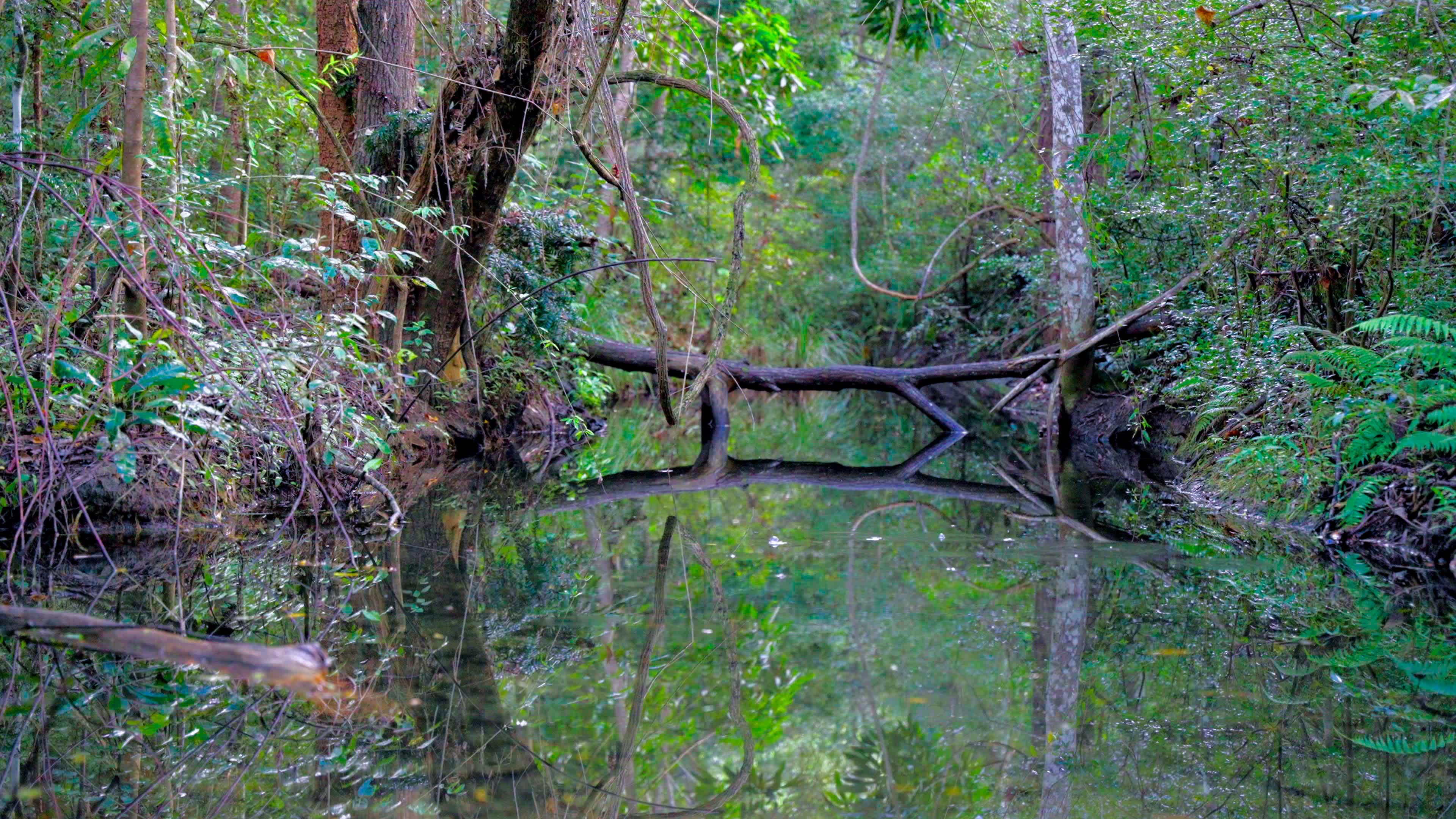River at the entrance of the camp