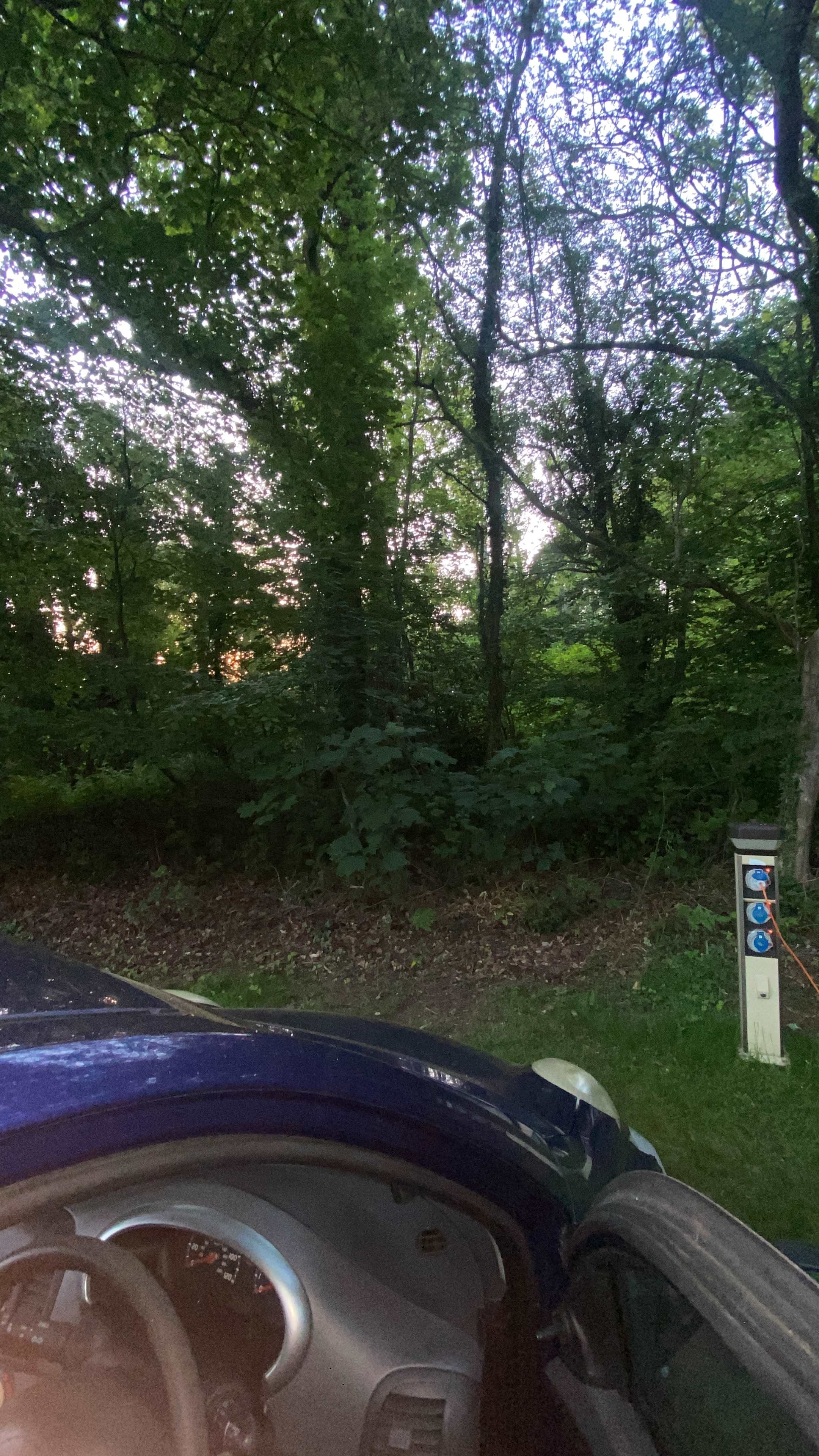Pitched right next to woods