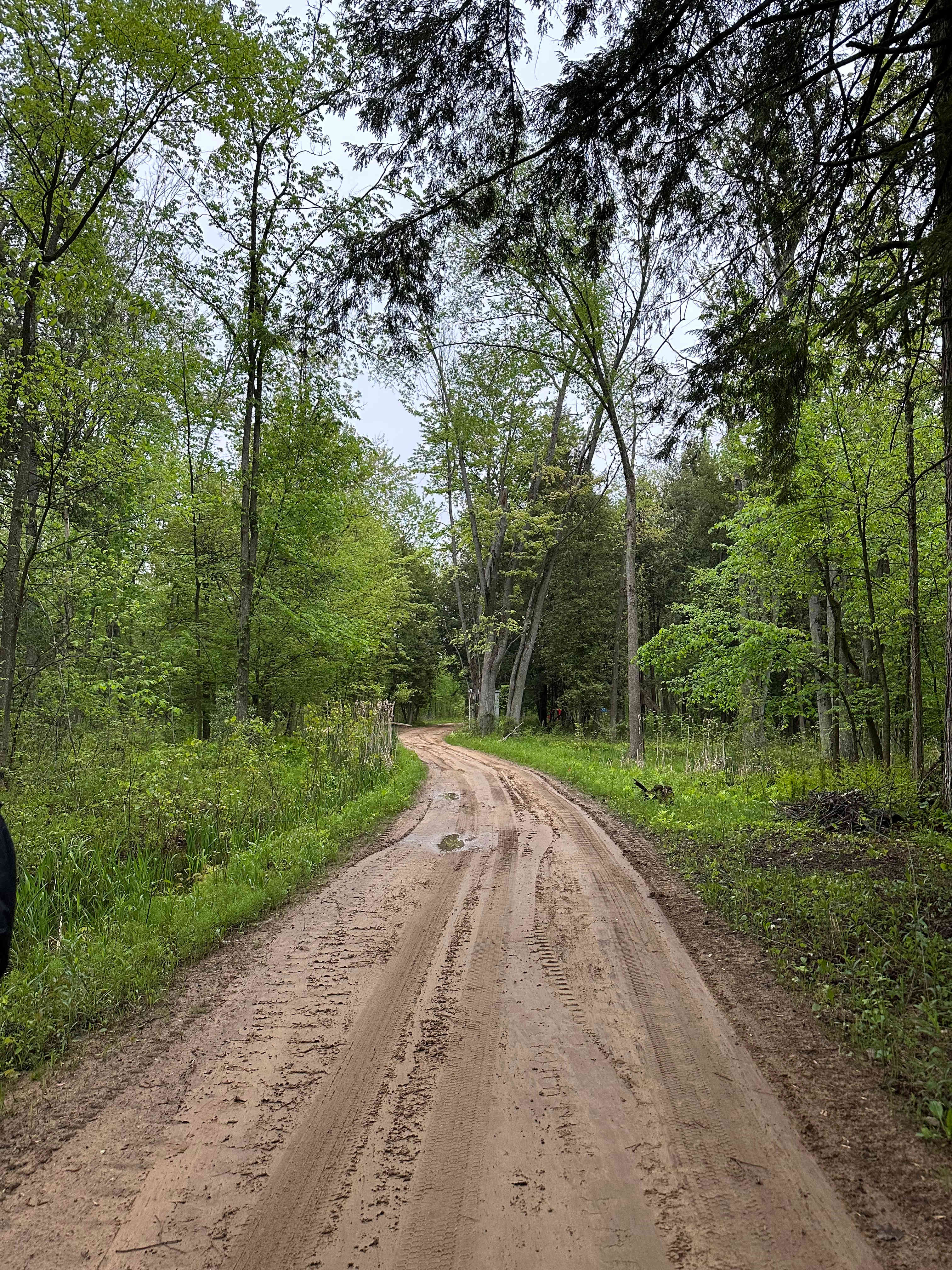 Trails 