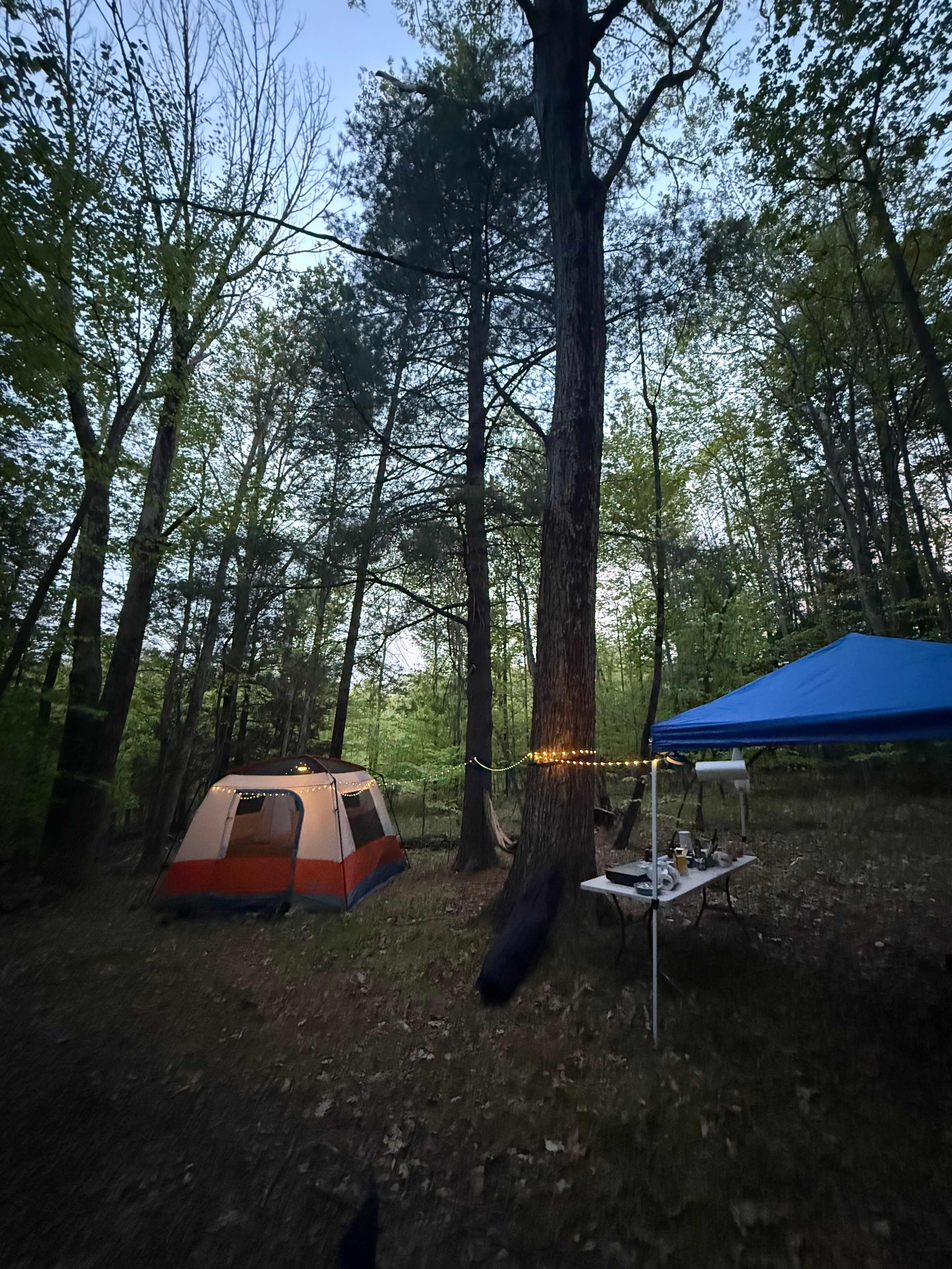 Catskills Forest Pondside Hideaway