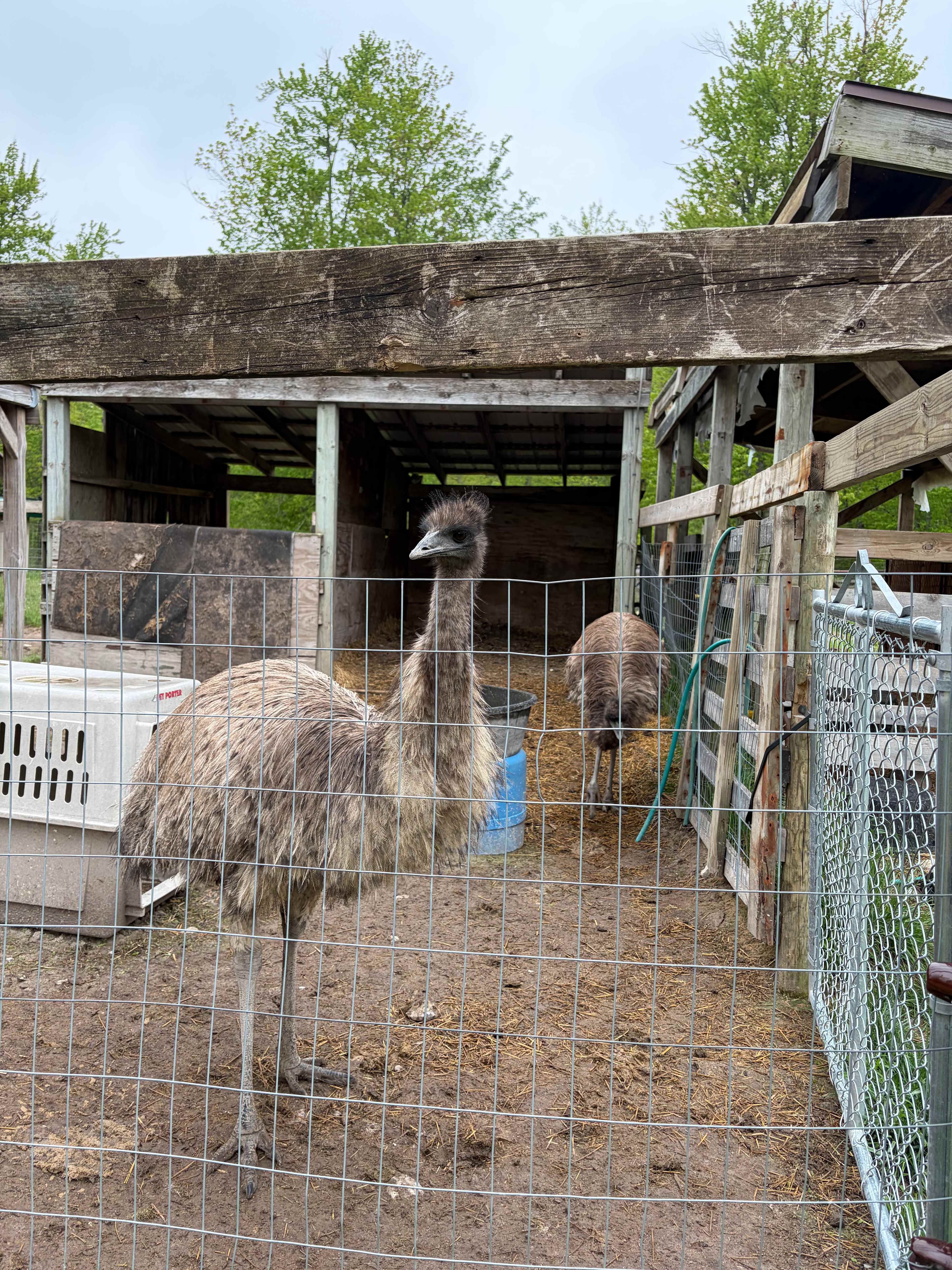 "Elysium Heritage Farm"