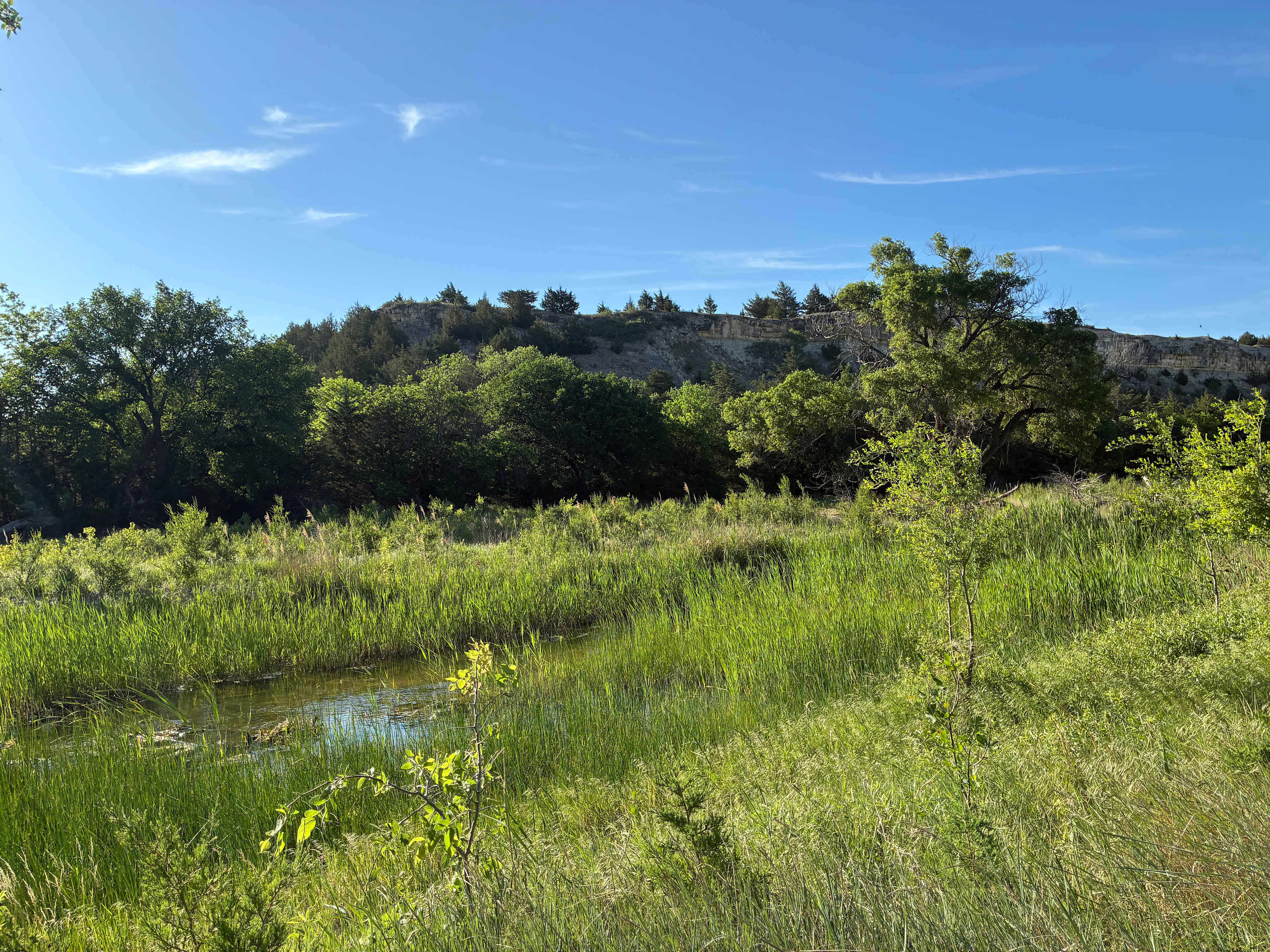 Picture of the site