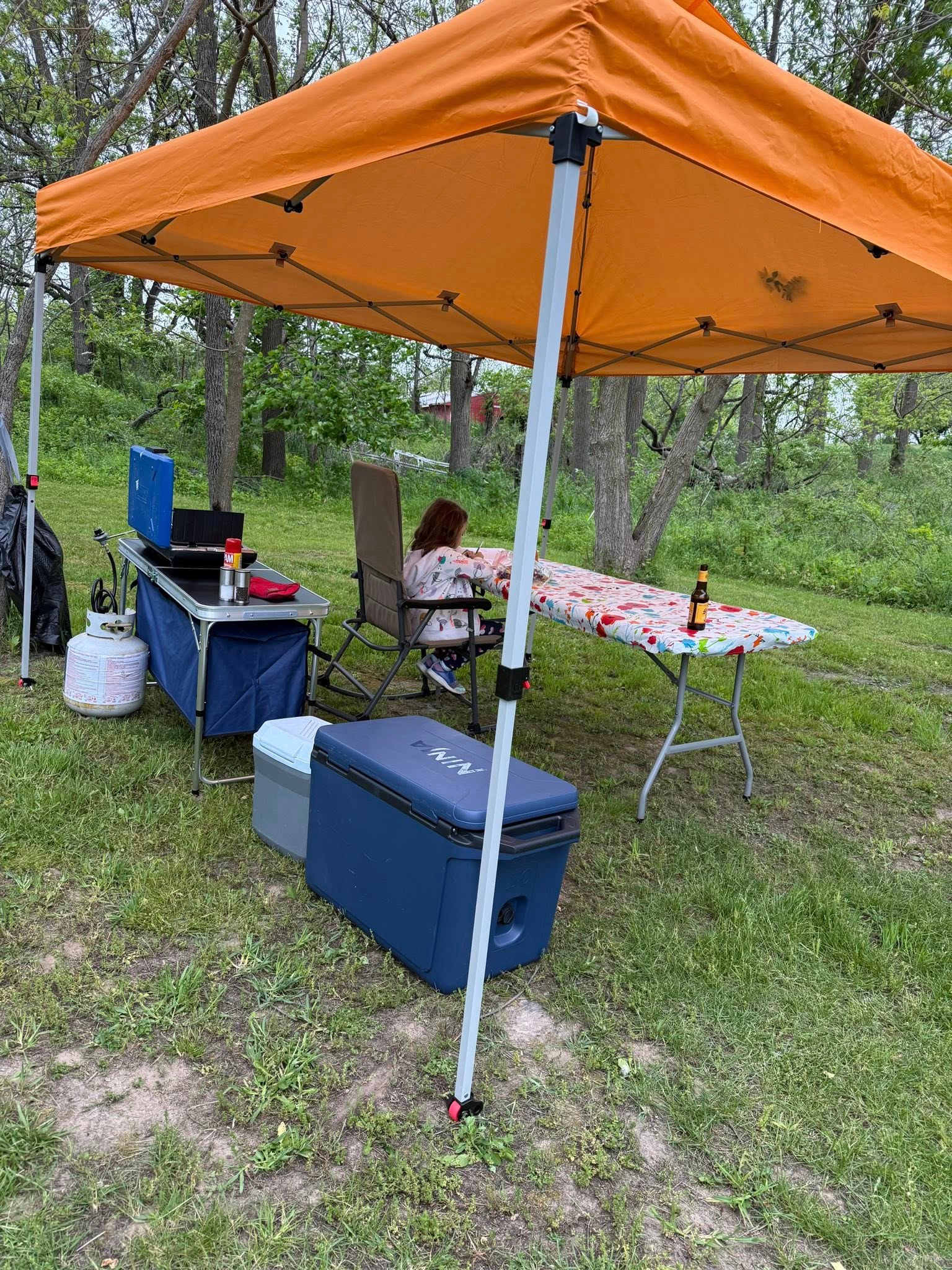 Picture of the site