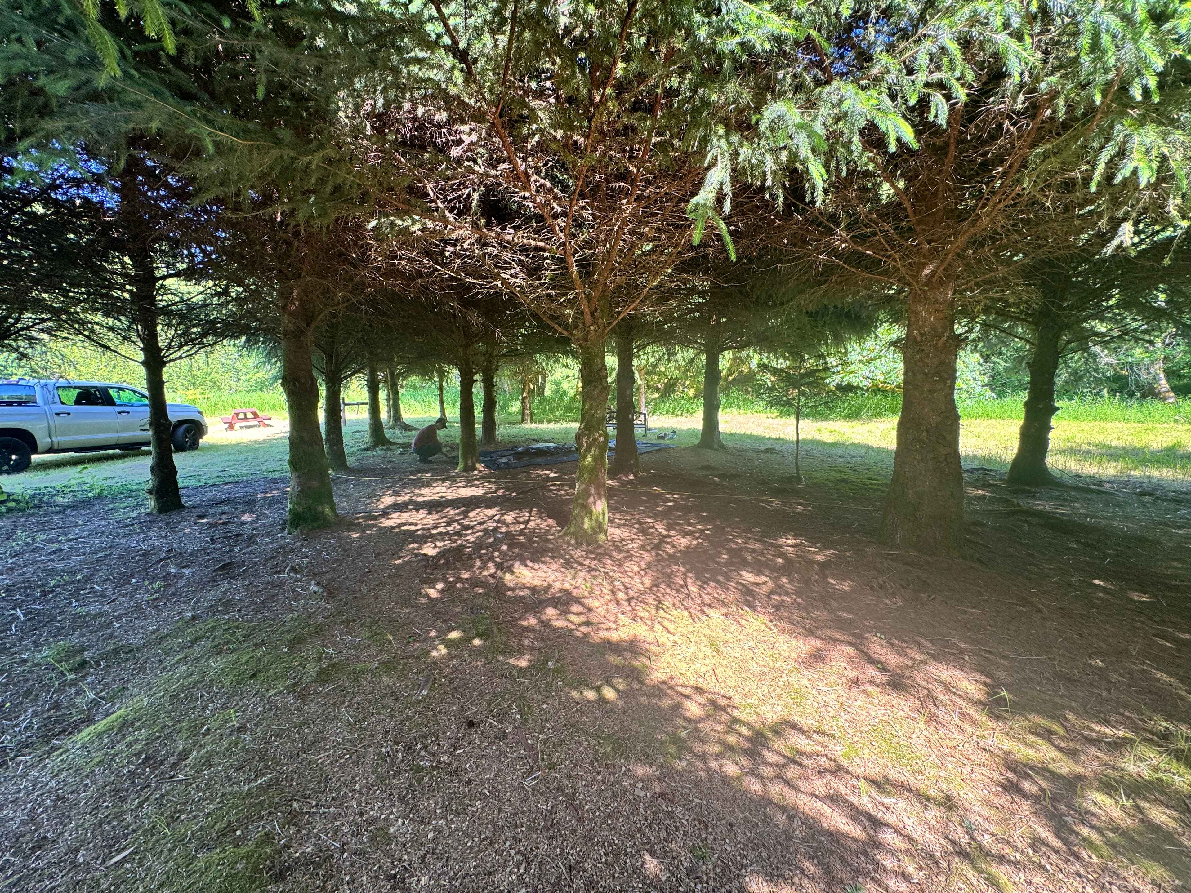 Campsite