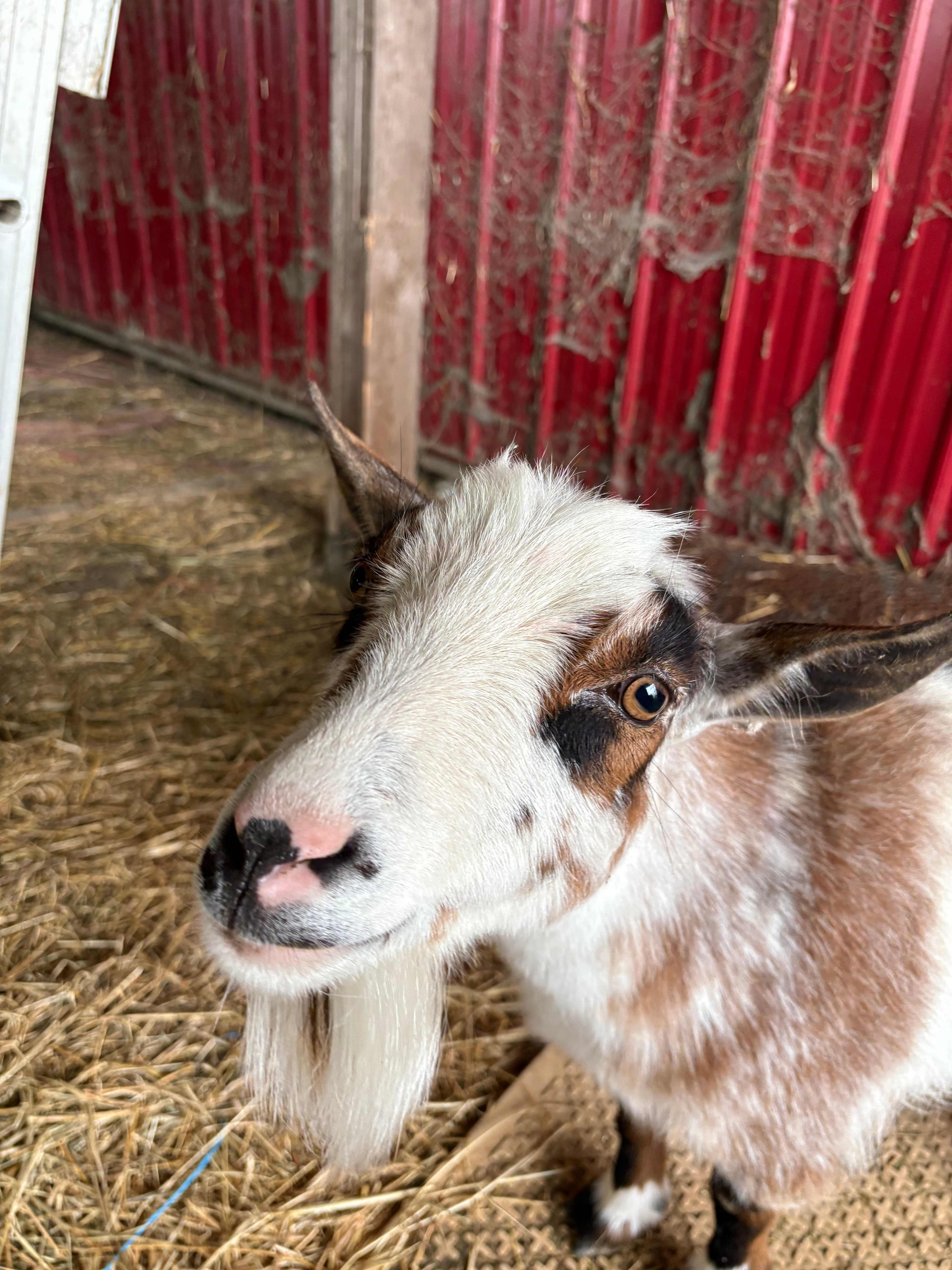 Andy Kromer Farms