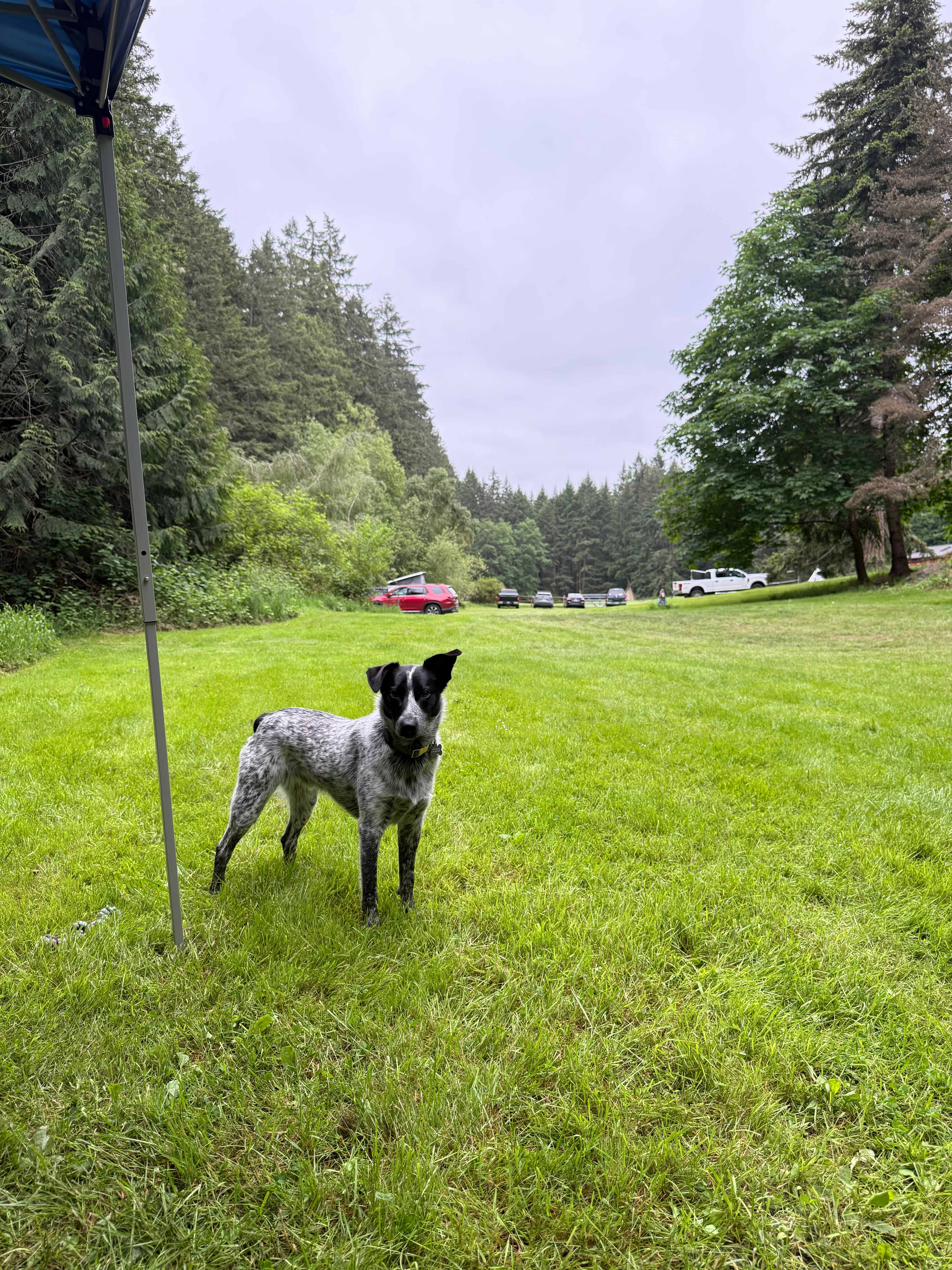 AYH Ranch Campground & Lodging