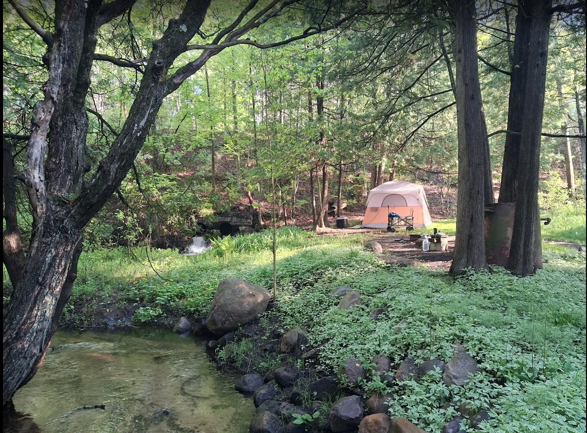 Site 1