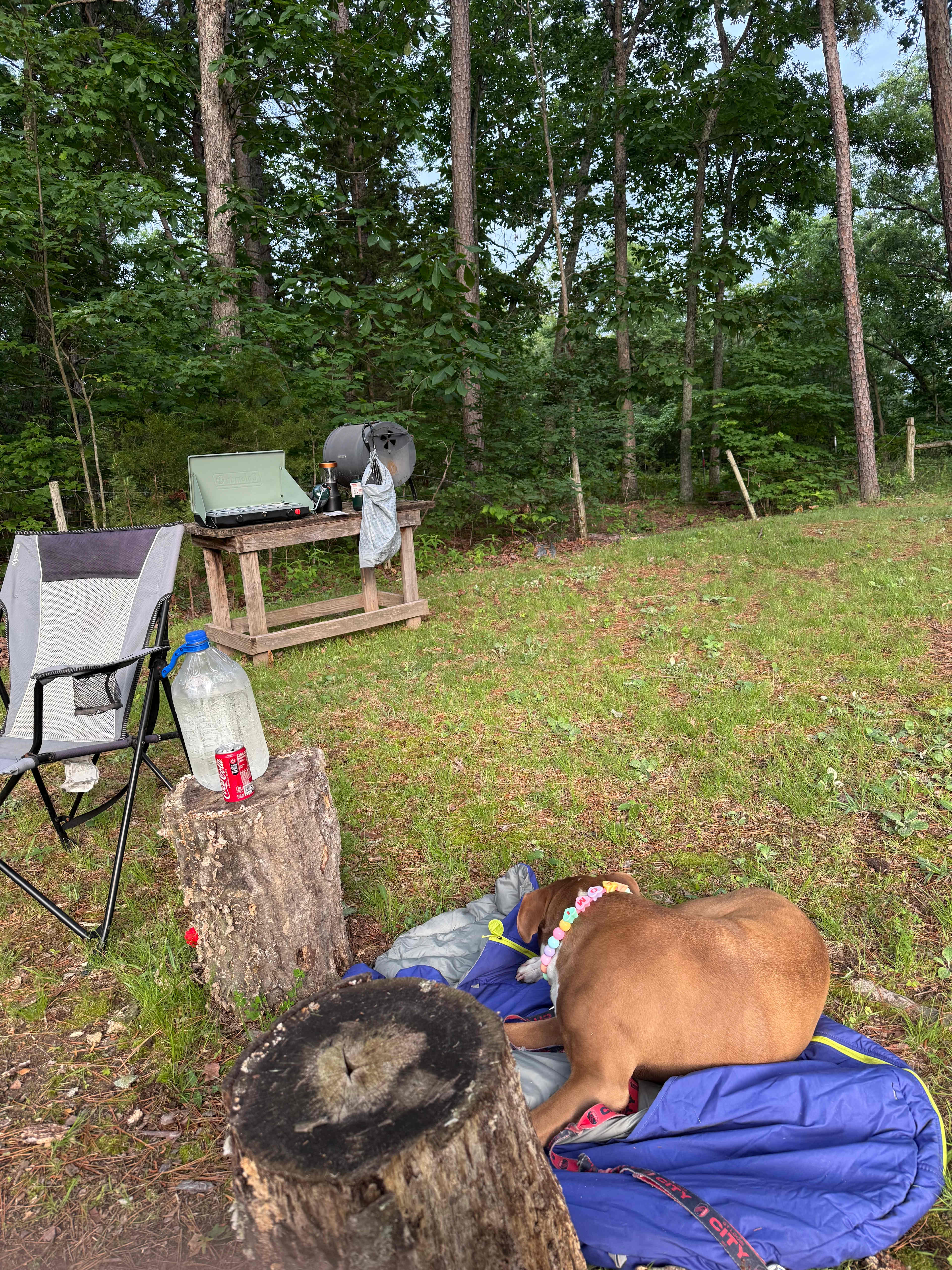 Hagood Farms and Trails