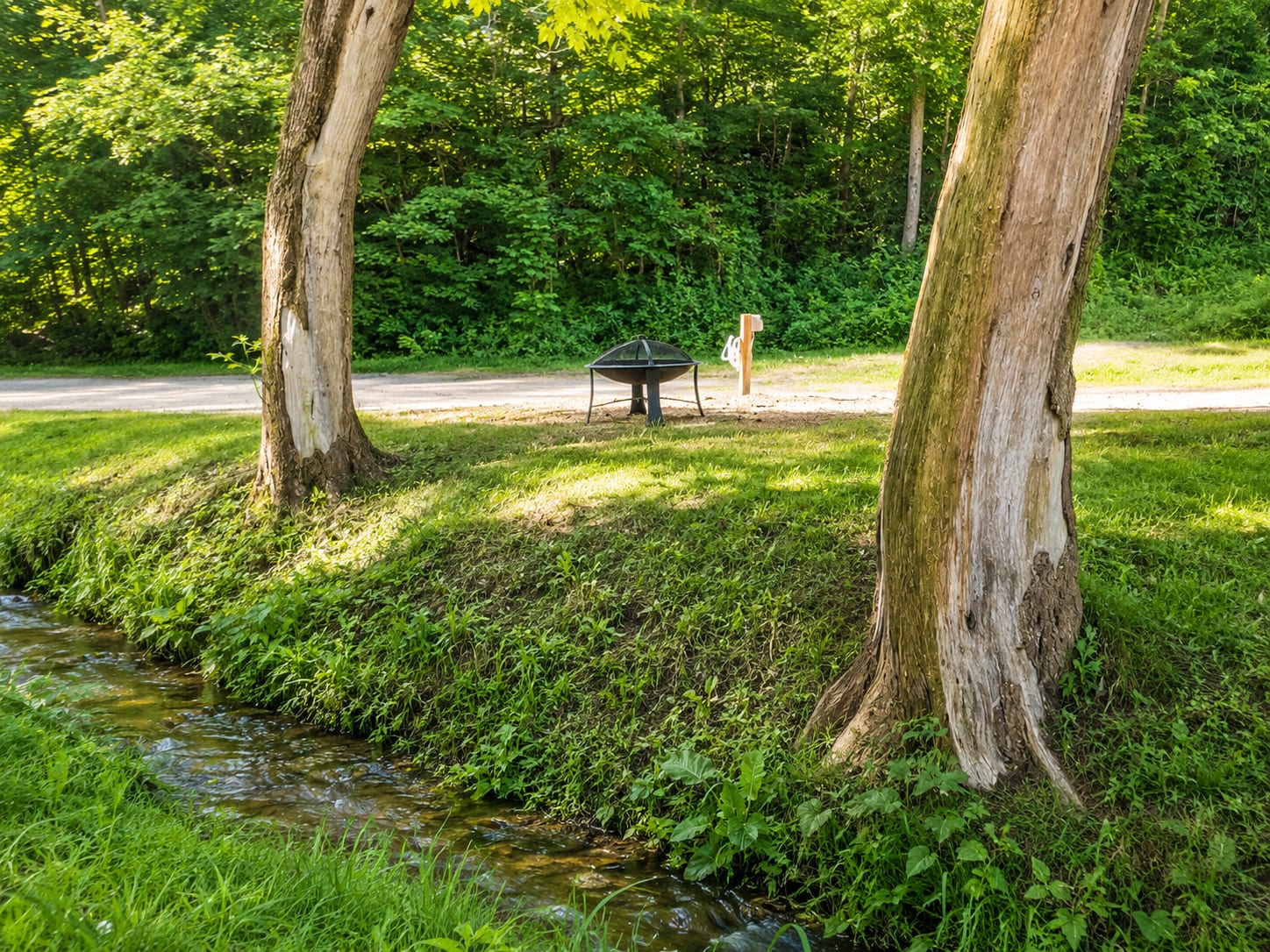 Picture of the site
