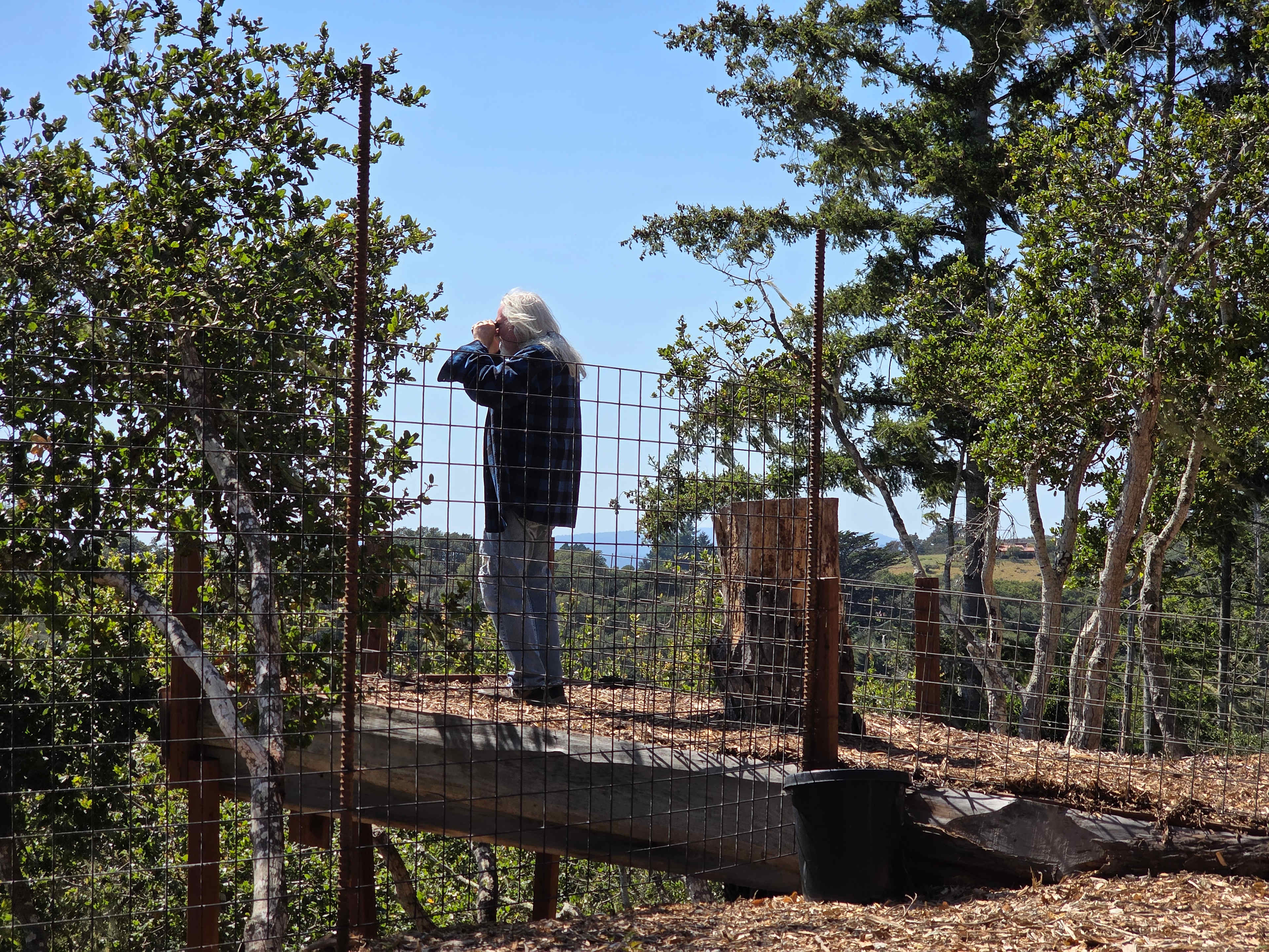 Lookout