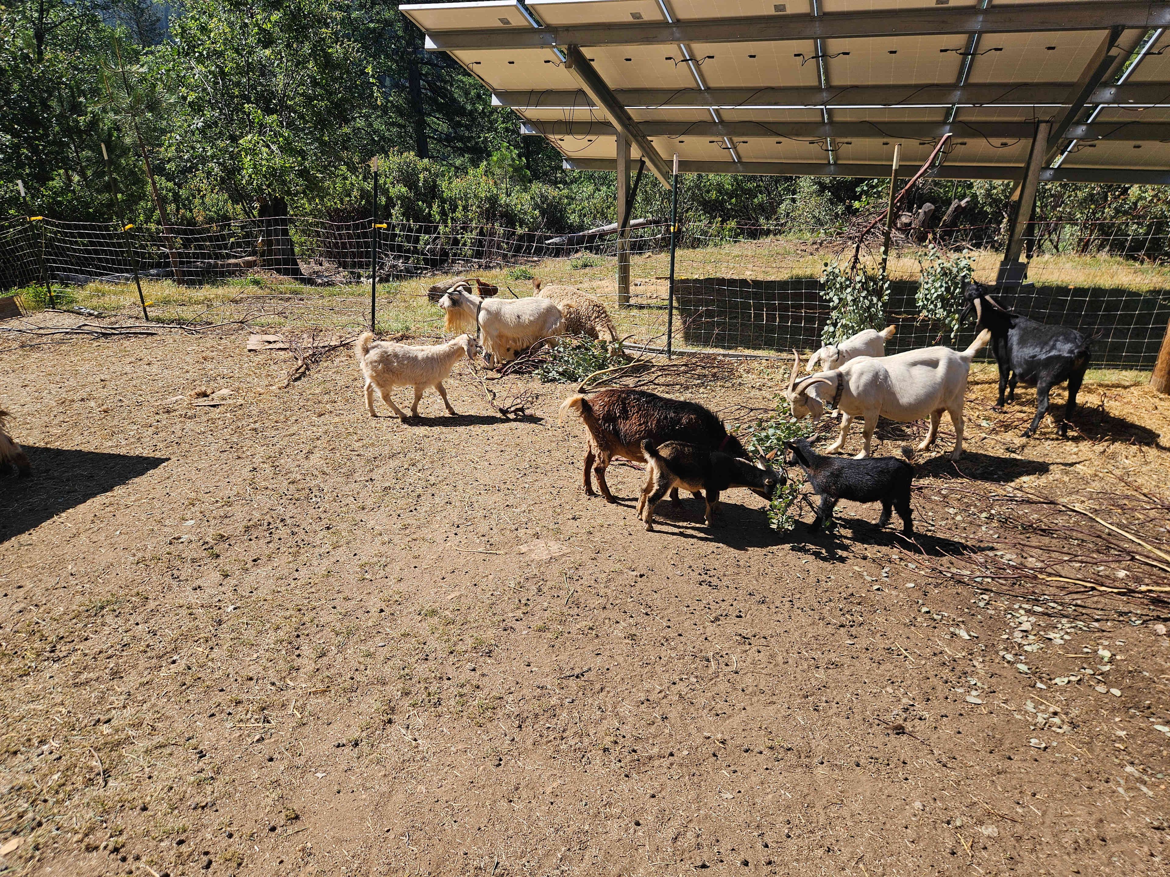 Om Sweet Om Farm
