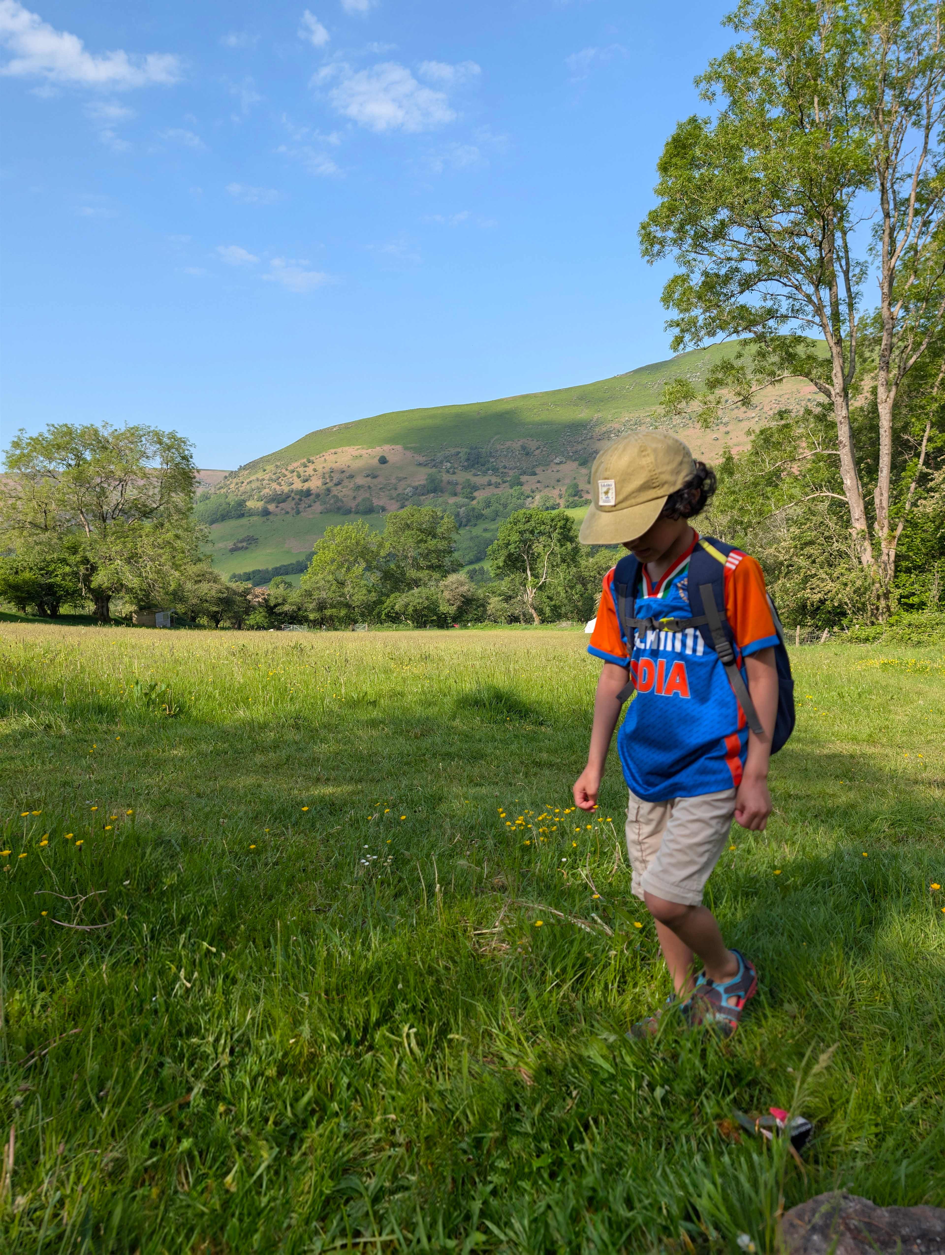 Cwmffrwd Farm Campsite