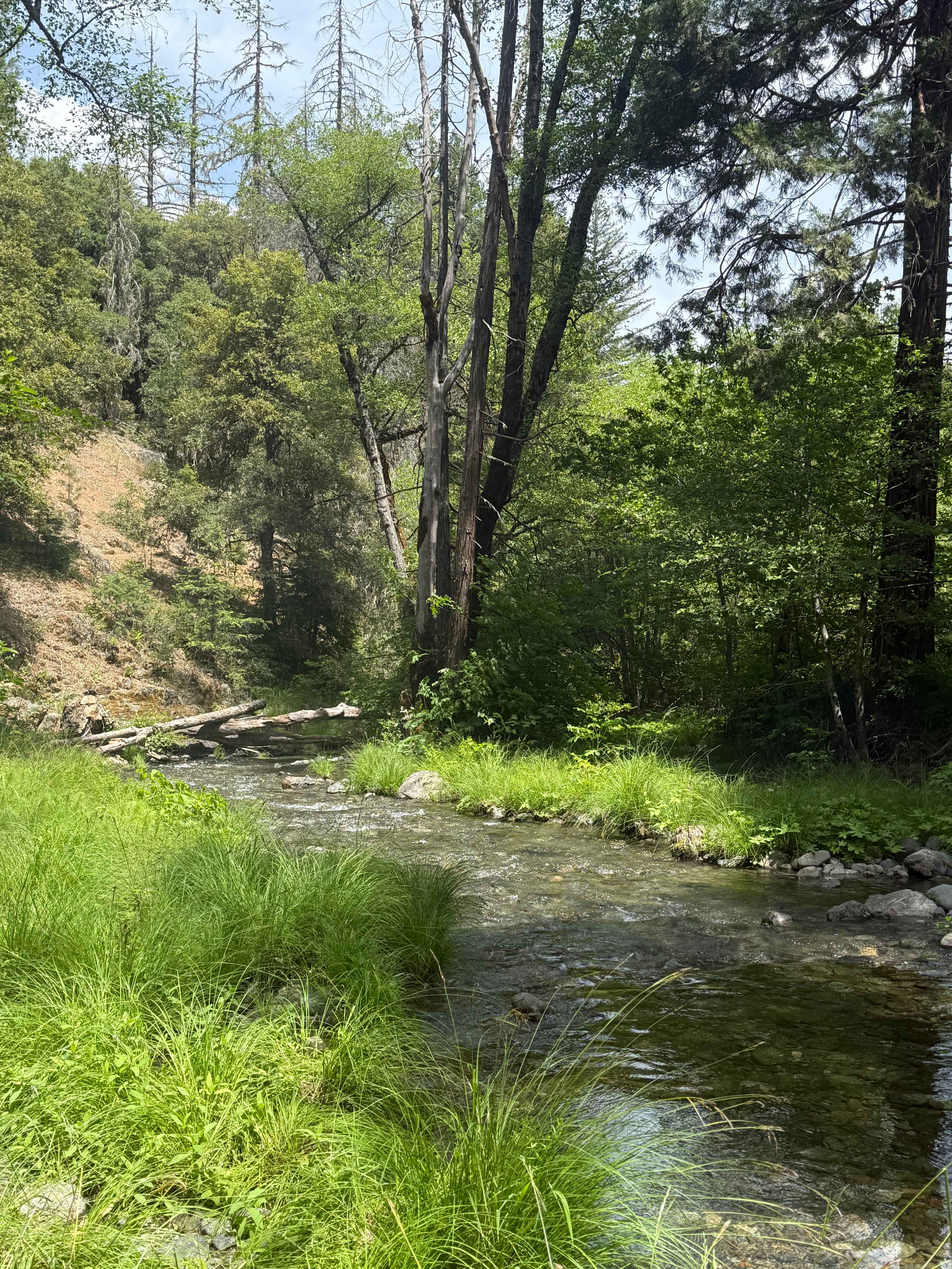 Trinity Outpost Wilderness Resort