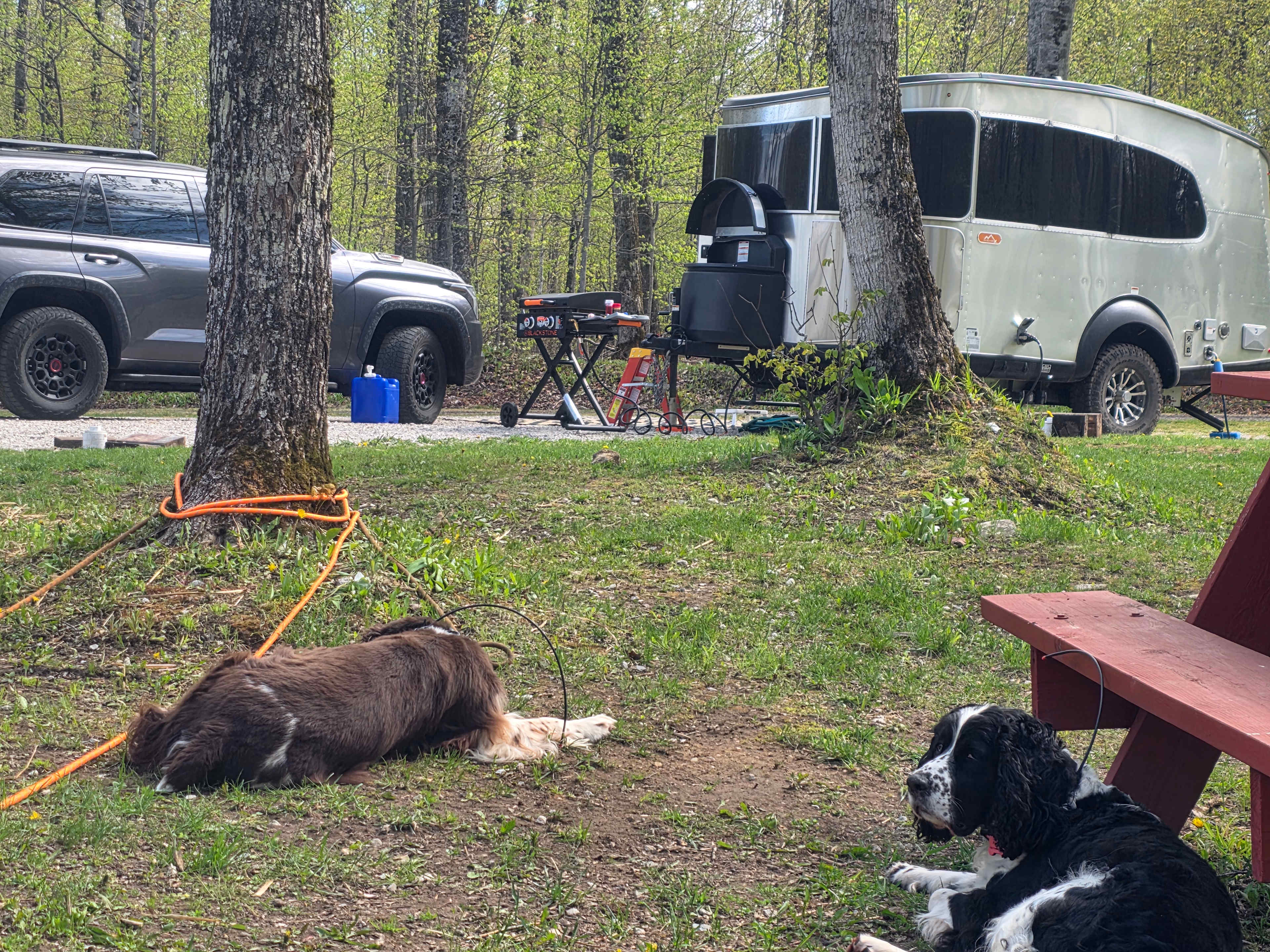 Elli's Lazy Days Resort & Campground