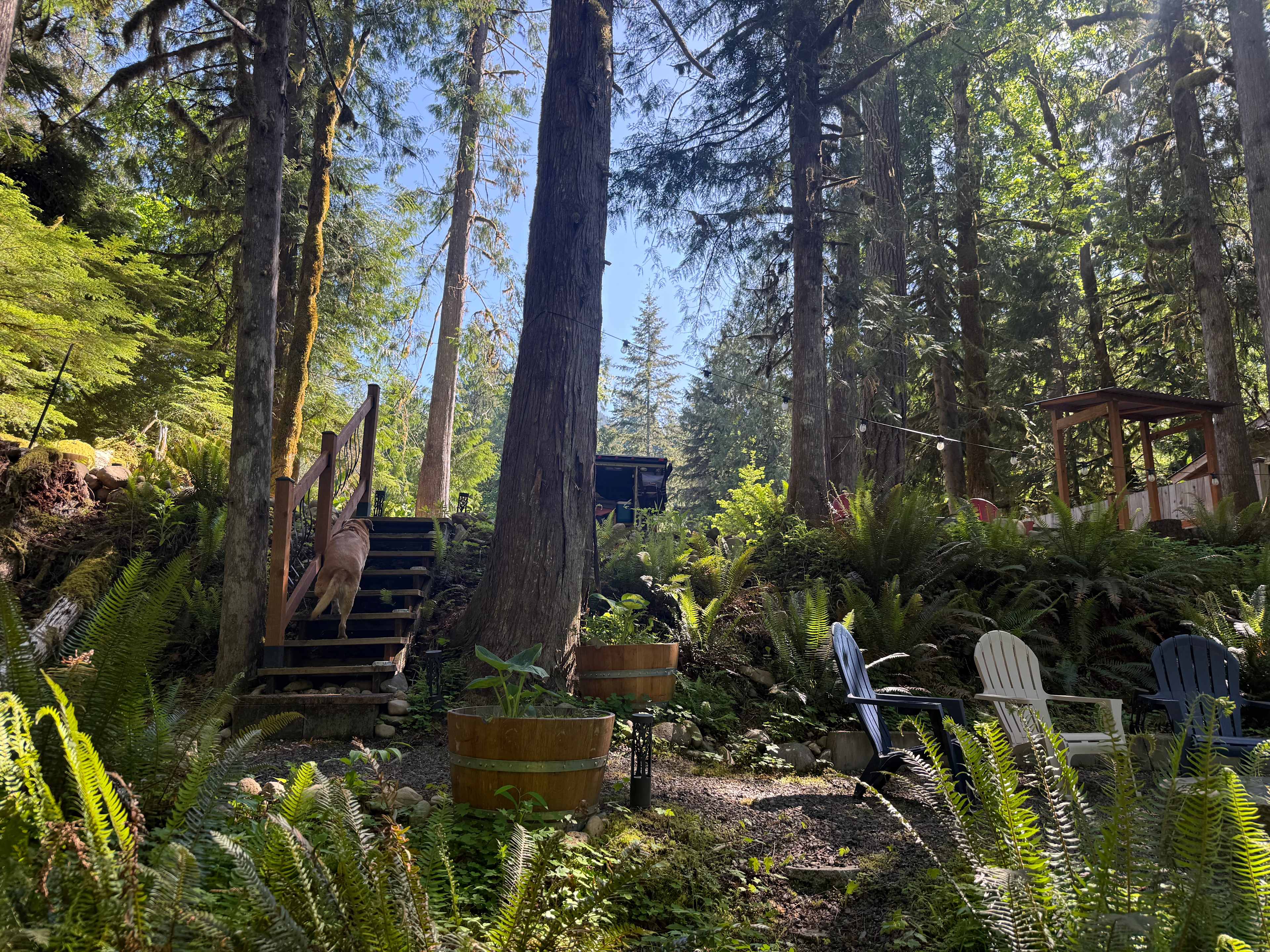 Big Tree Retreat - River views!