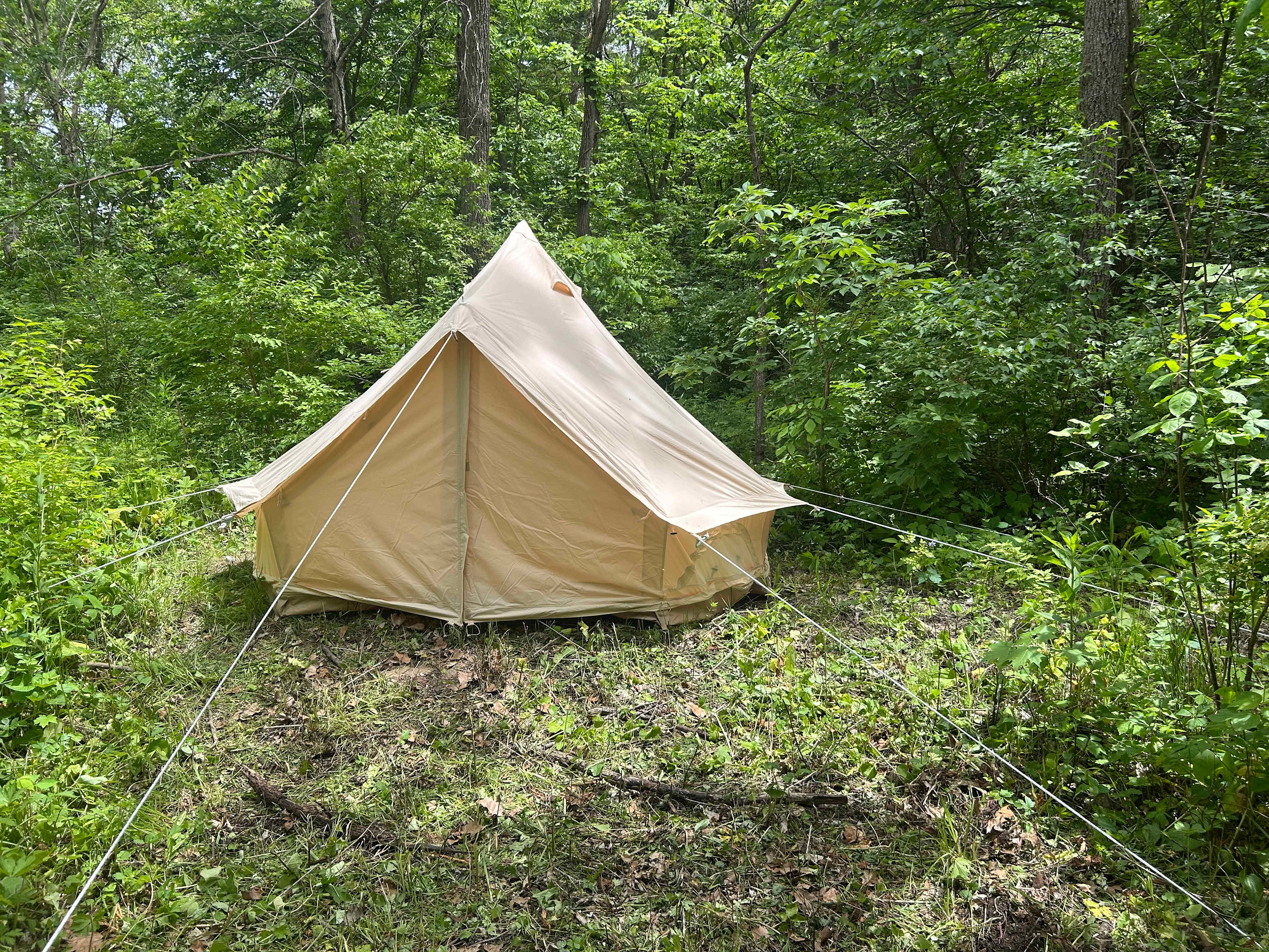 Picture of the site