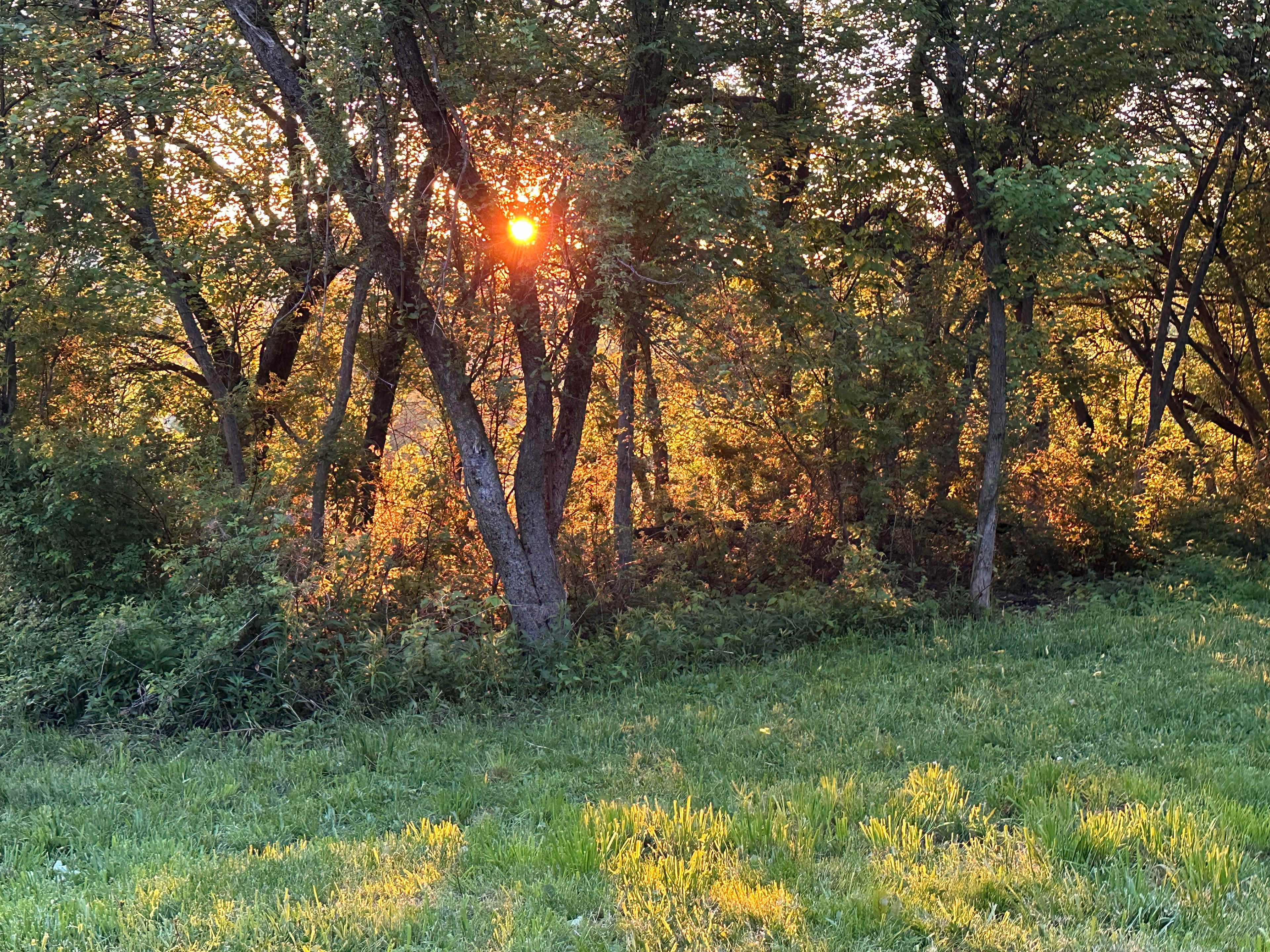 Big Oak Hill