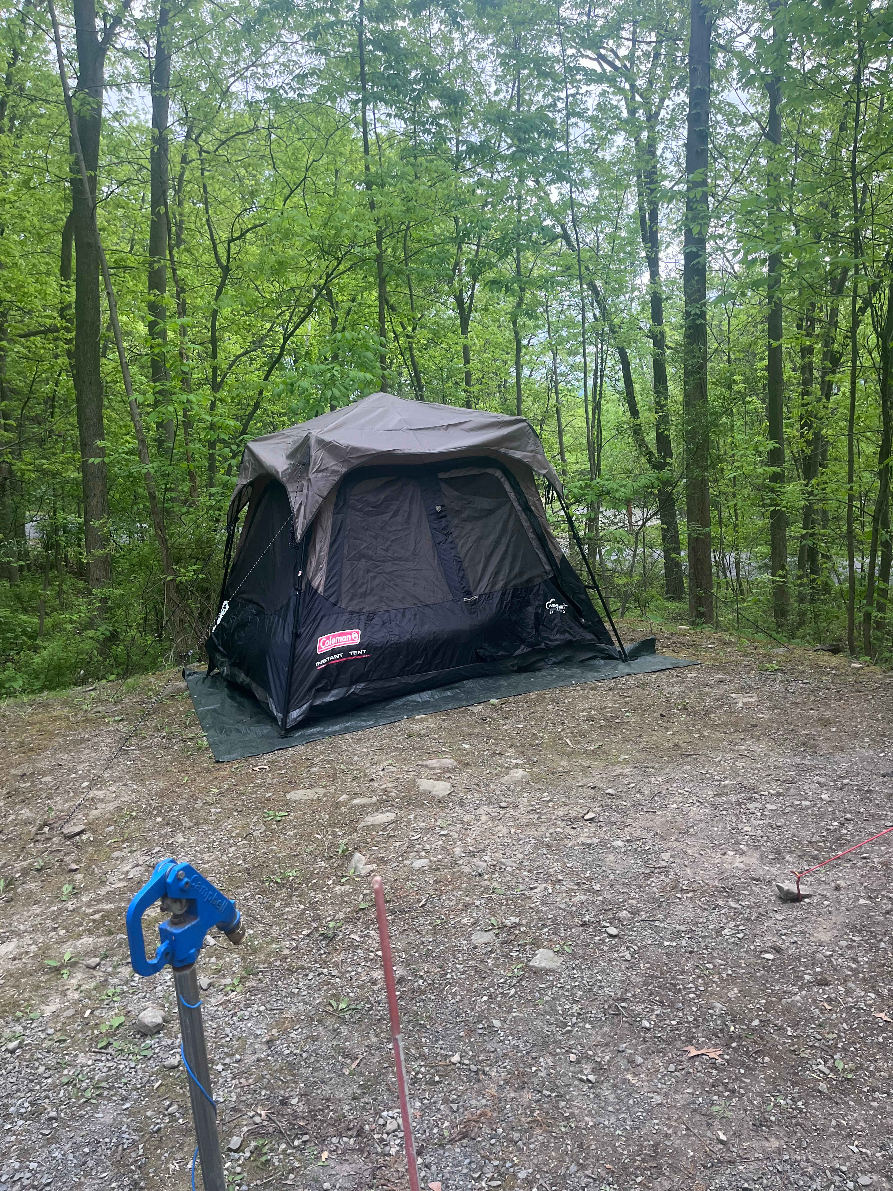 Picture of the site