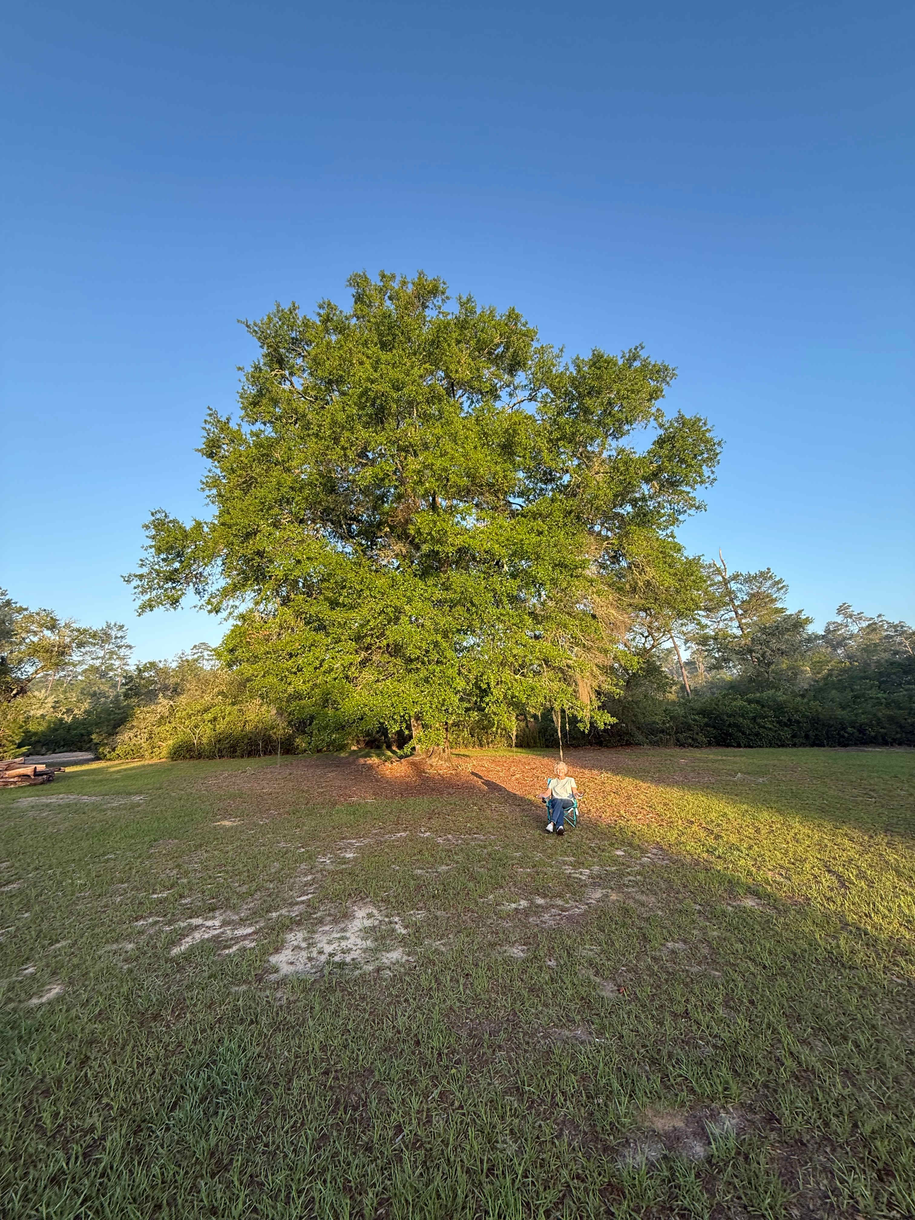 Golden Oaks Farm
