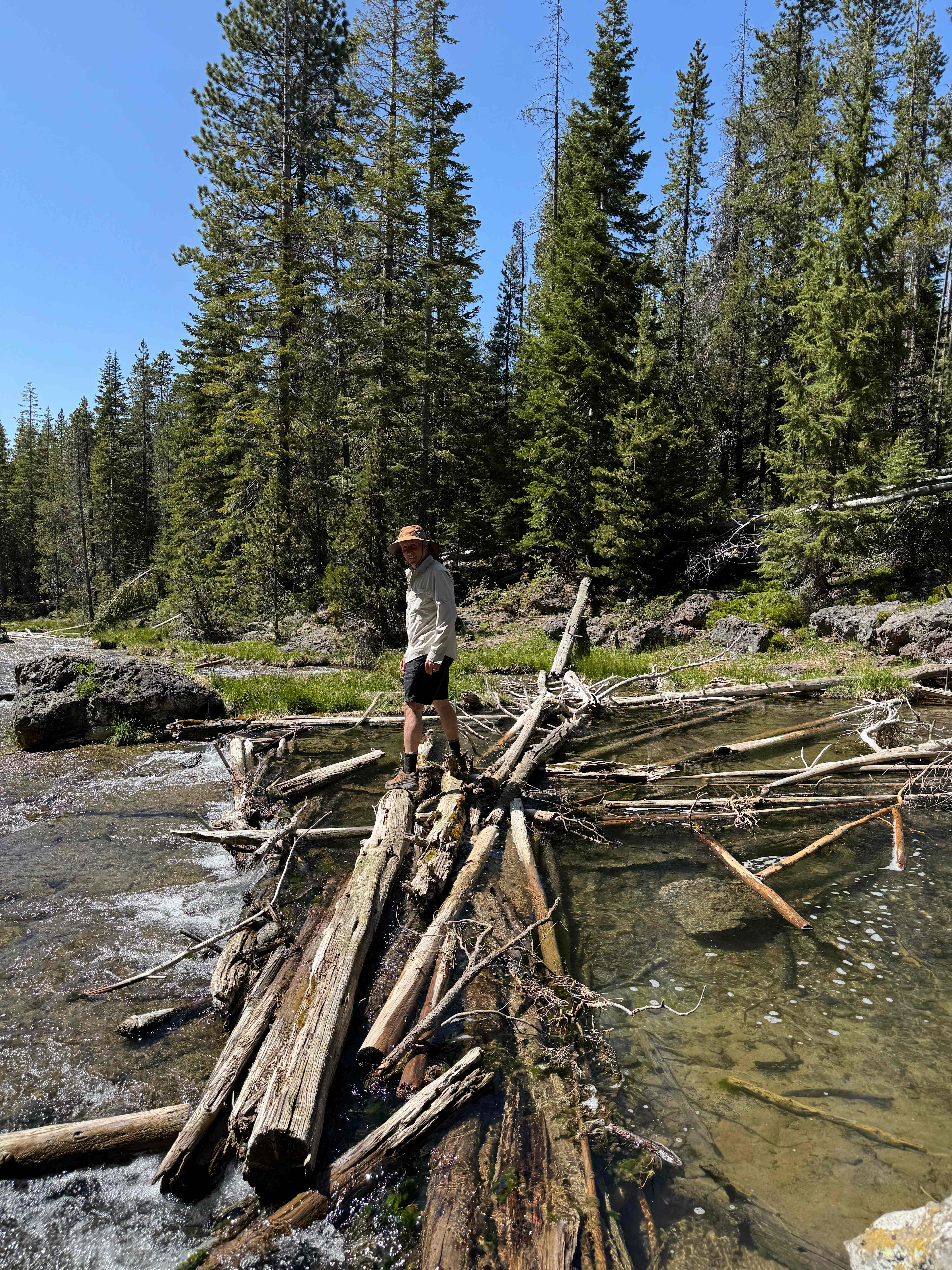 log shelter retreat