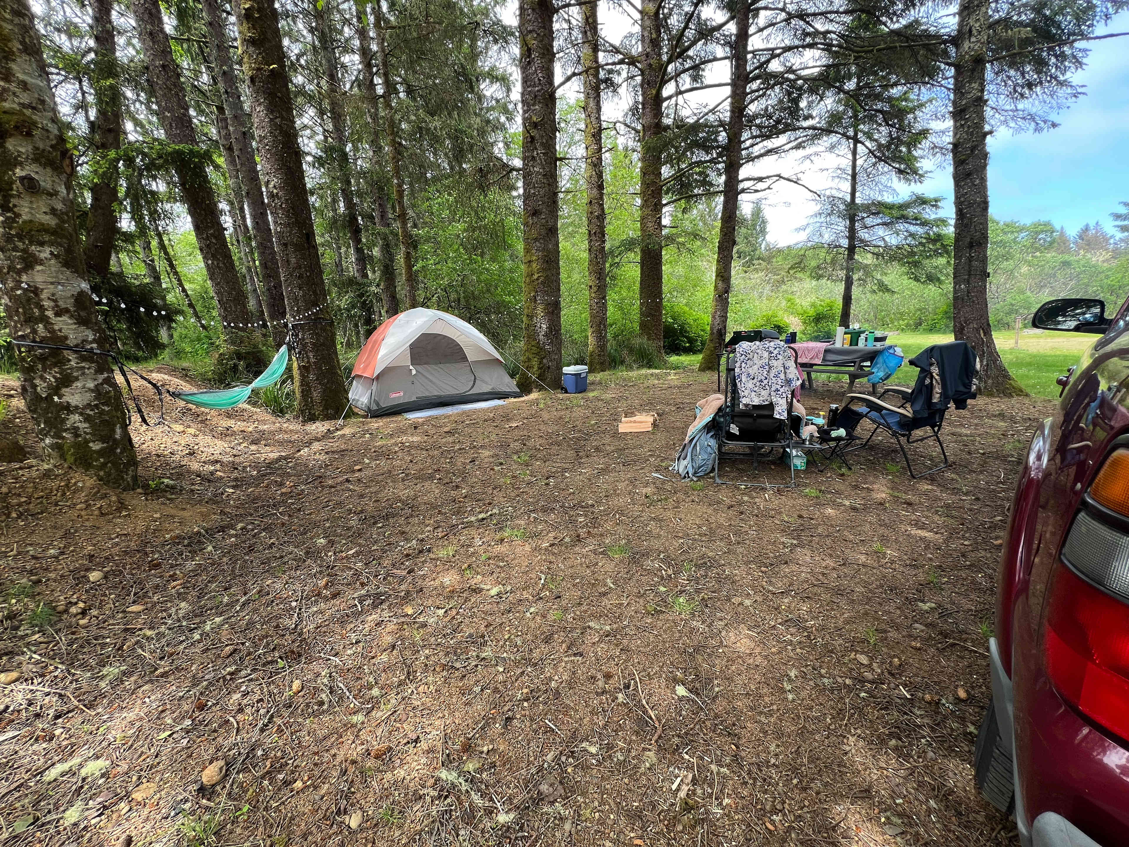 Picture of the site