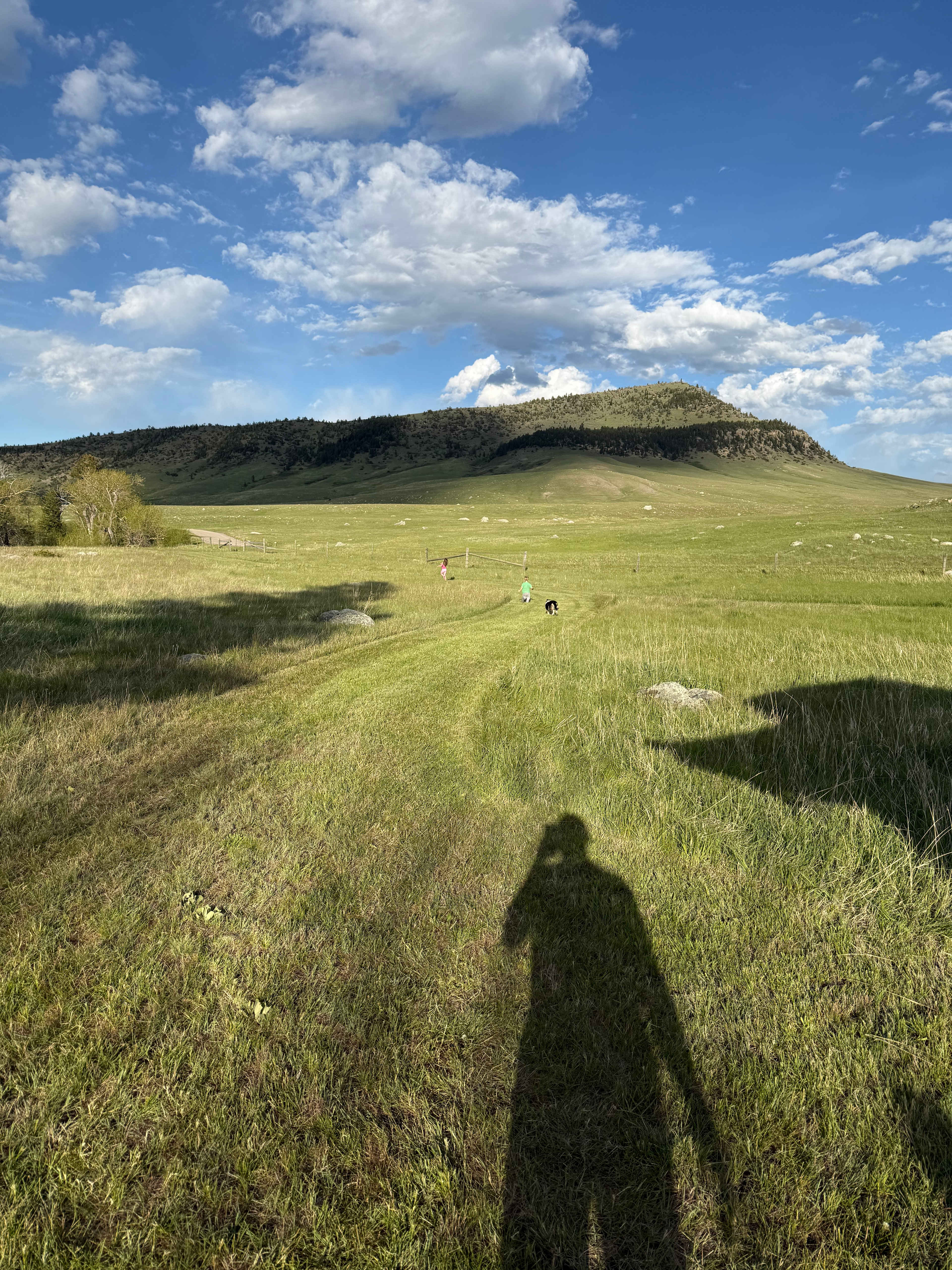 Ellison Ranch