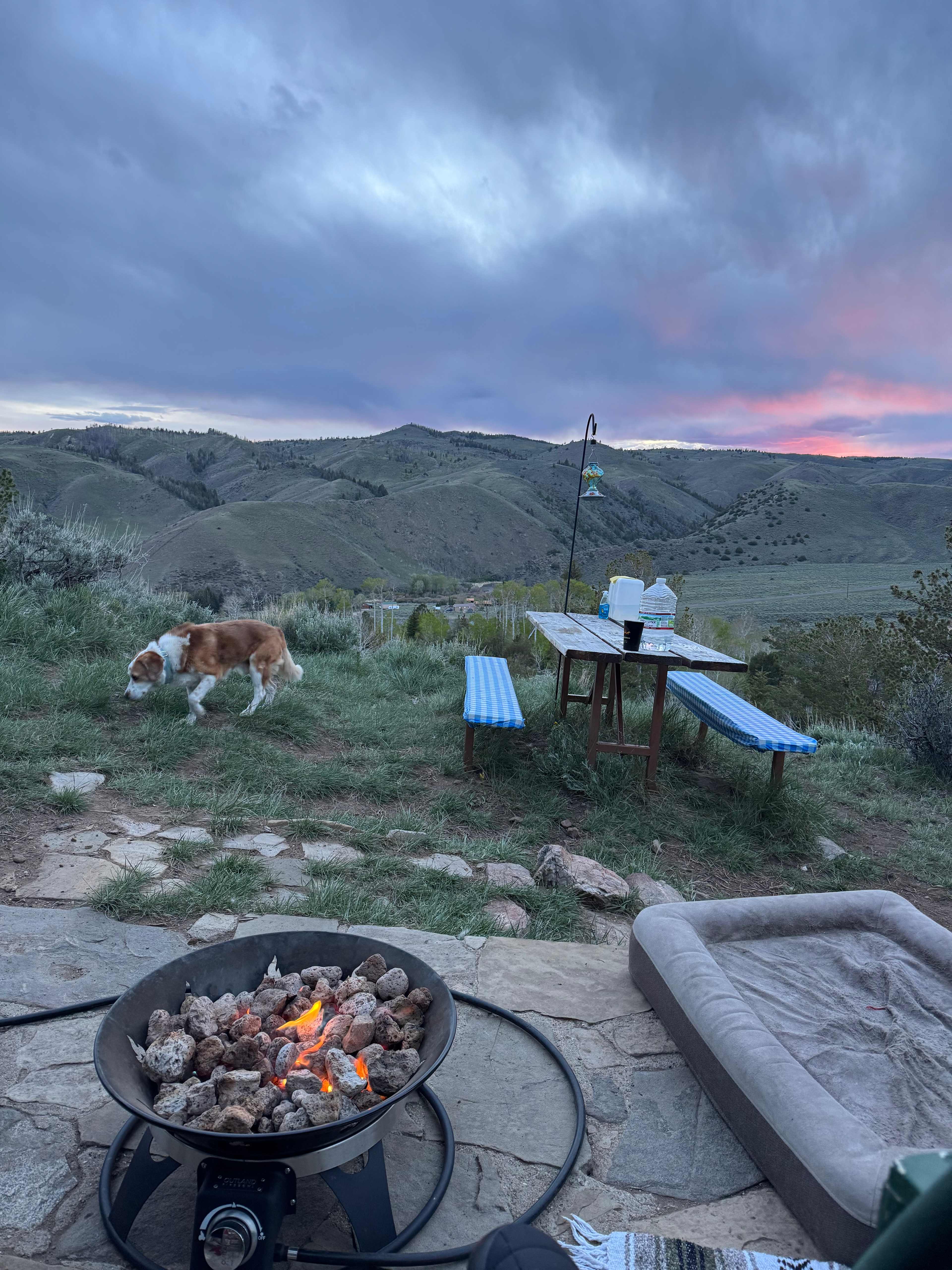 Little Cabin with a view