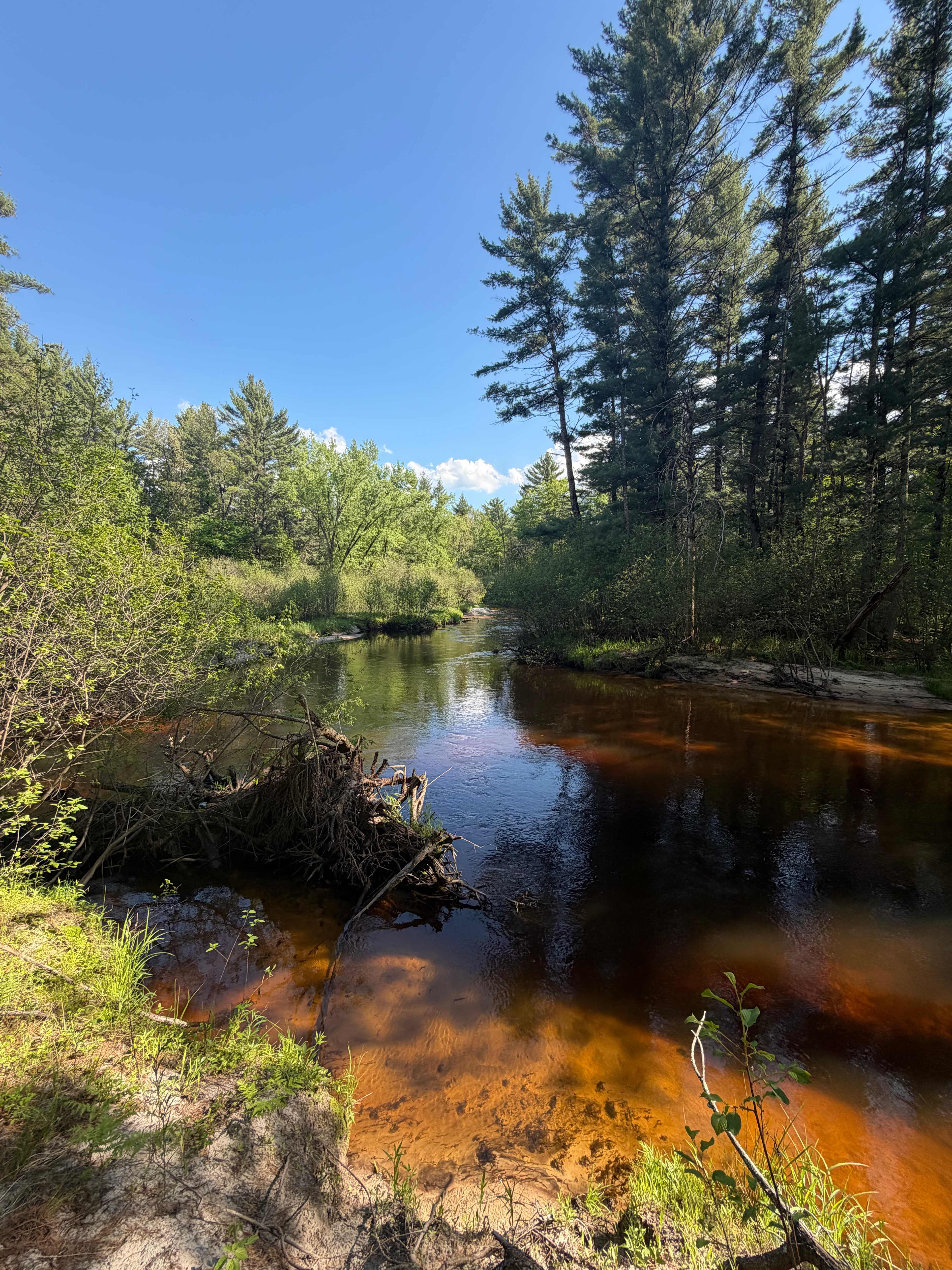Fall Hall Glen