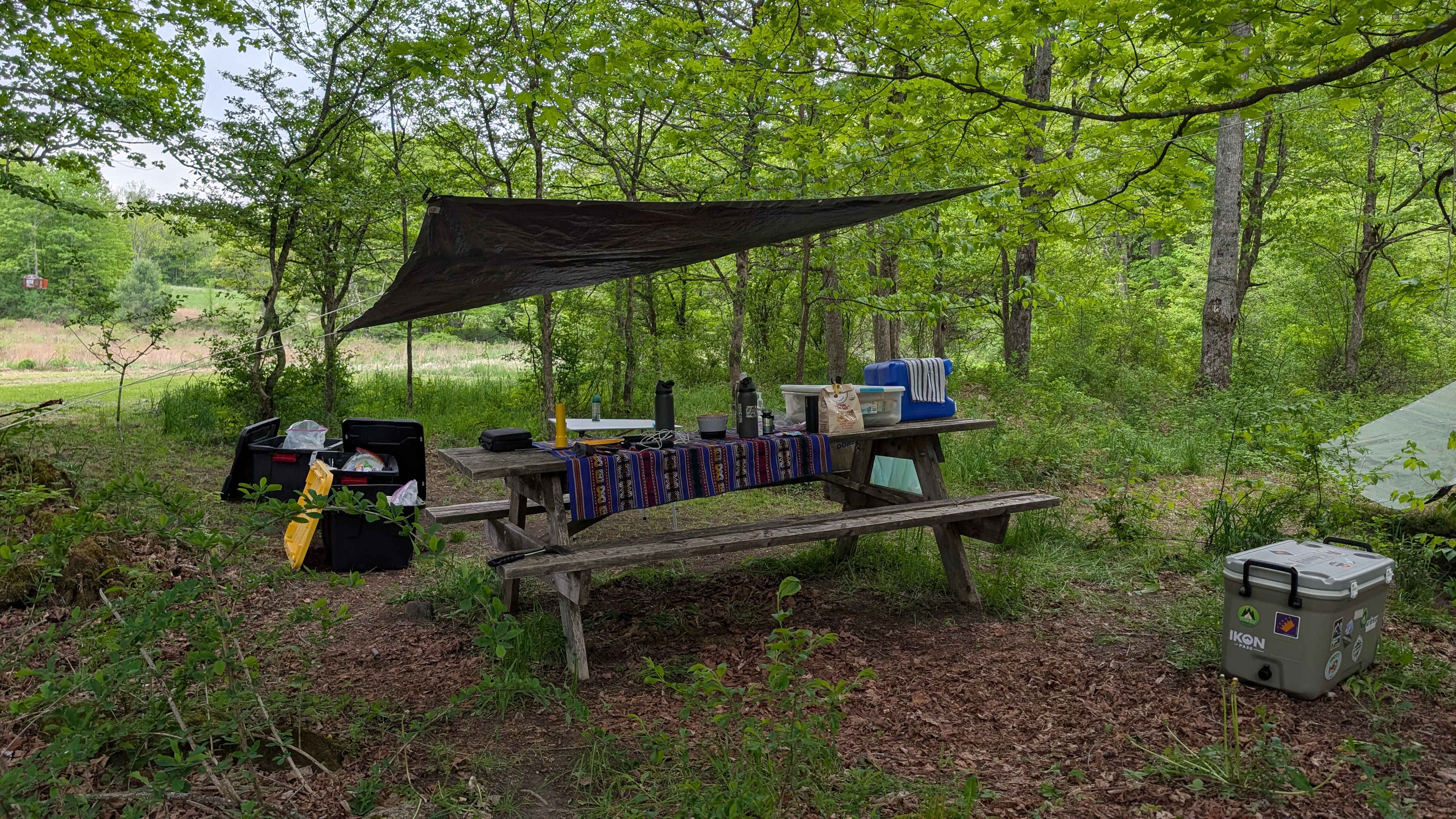 Sugar Wood Meadow Camping