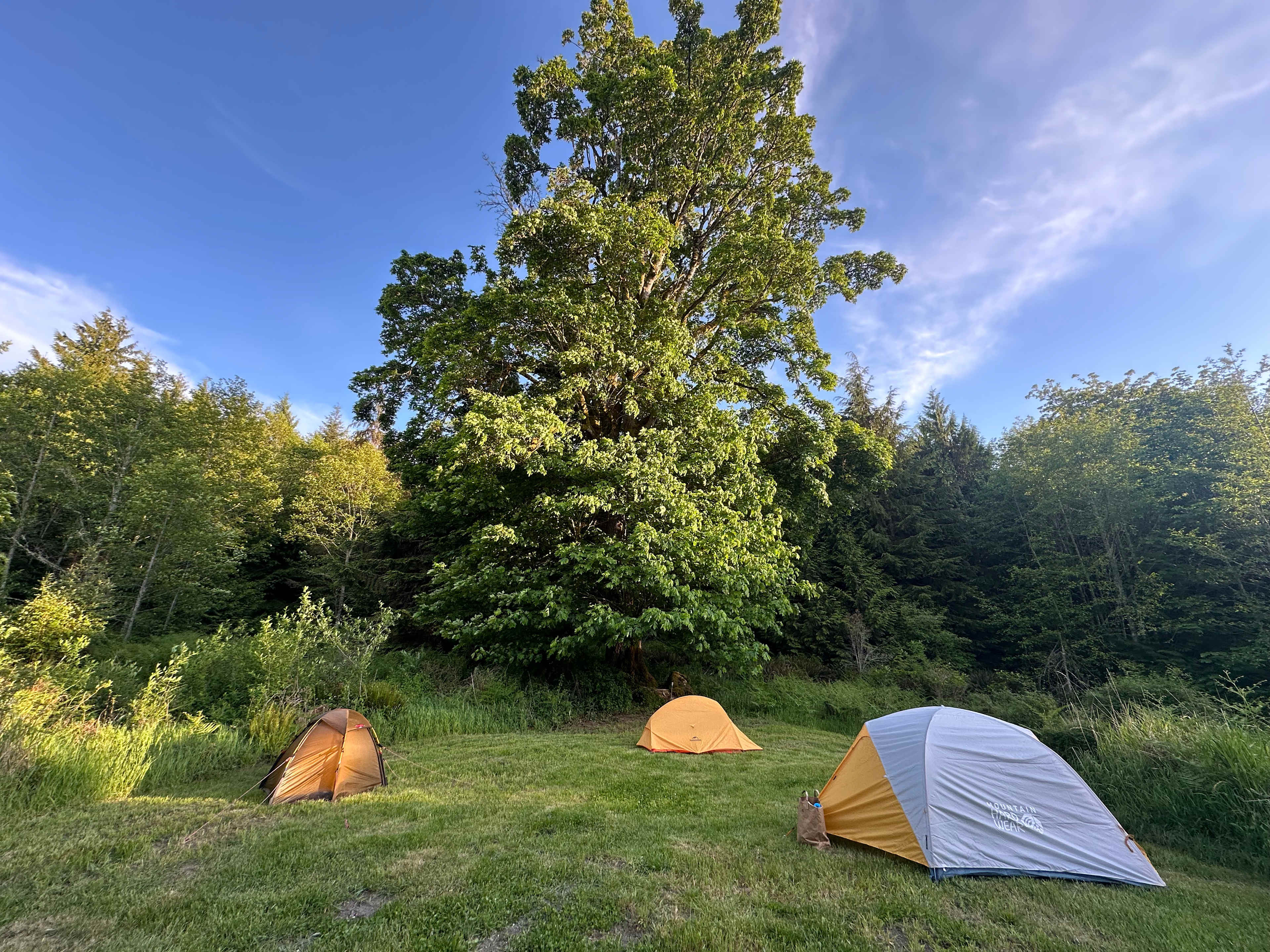 The Rustic Retreat