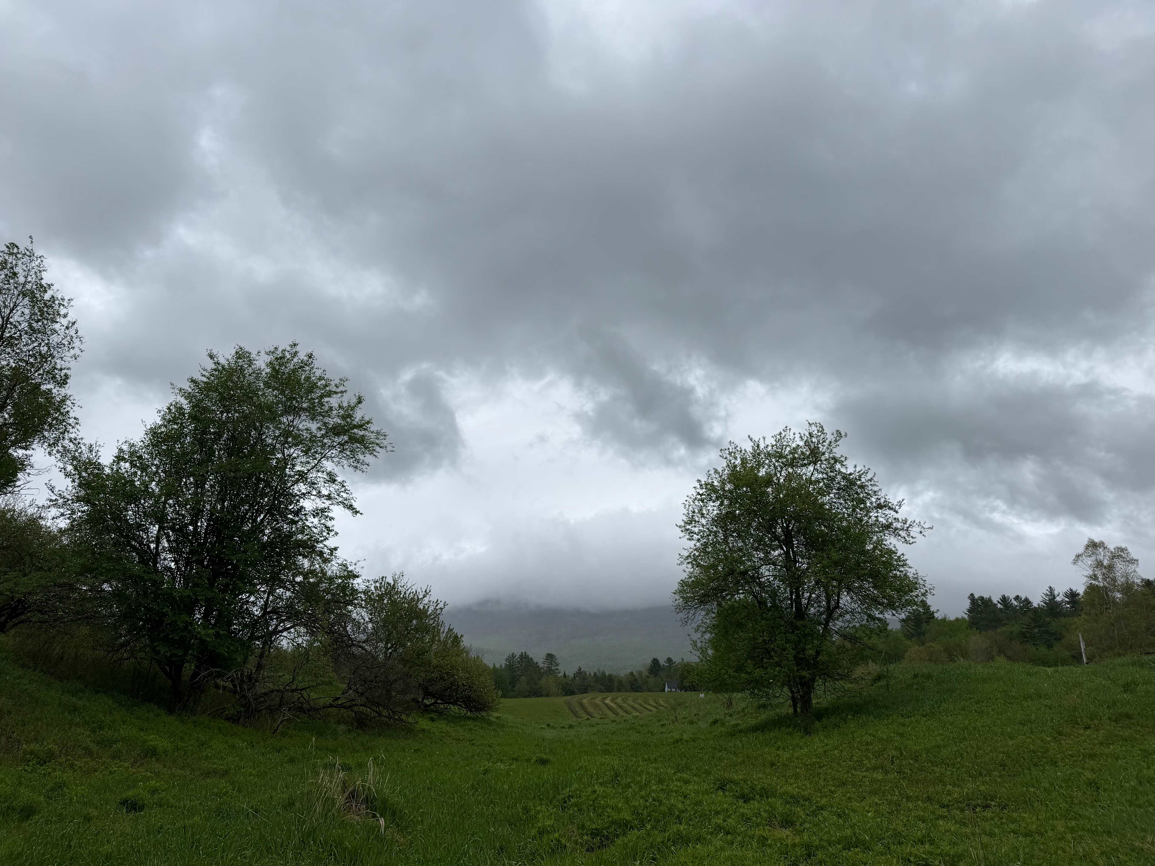 OneRiver Farm, Lincoln, Vermont