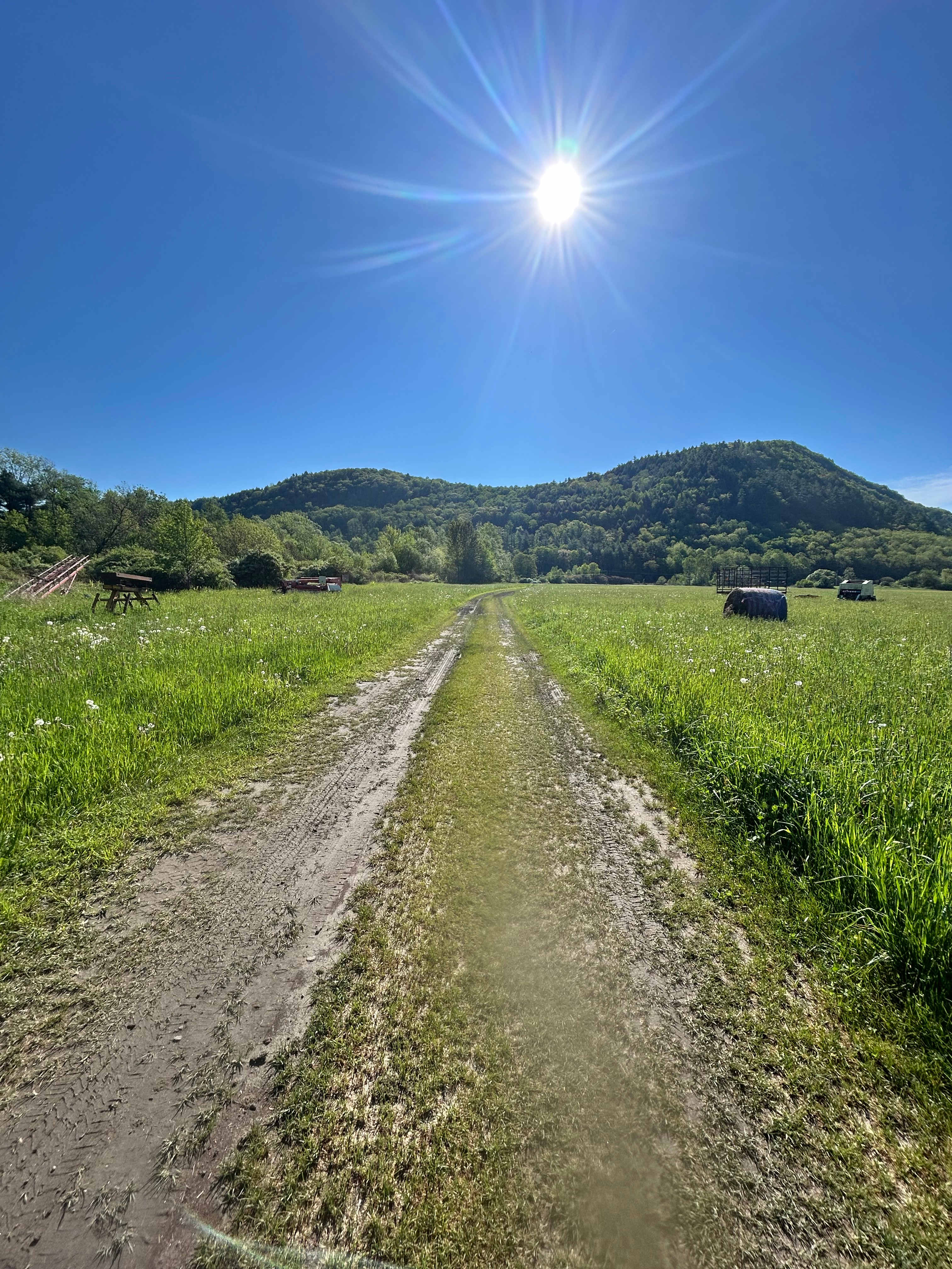 Greenbush Farm