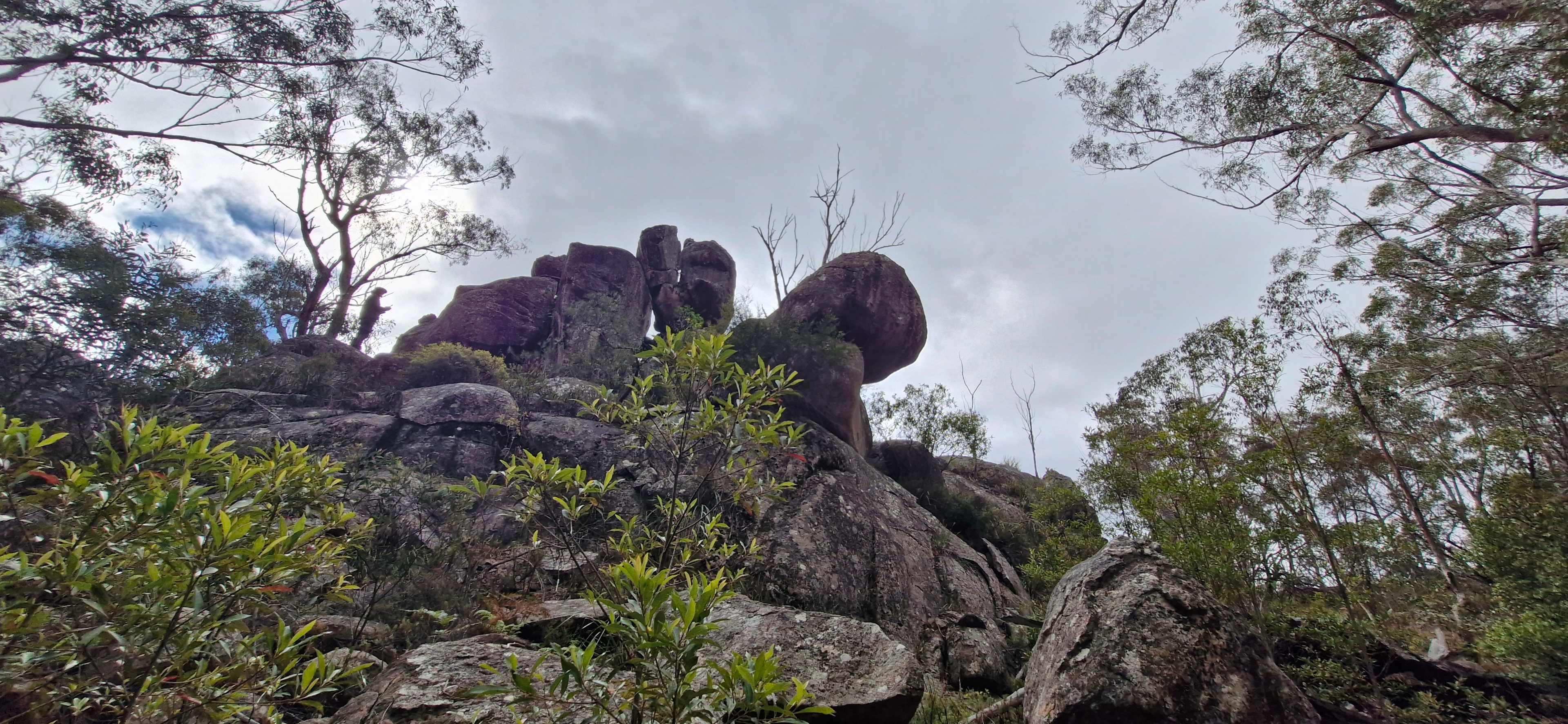 Bald Rock Station