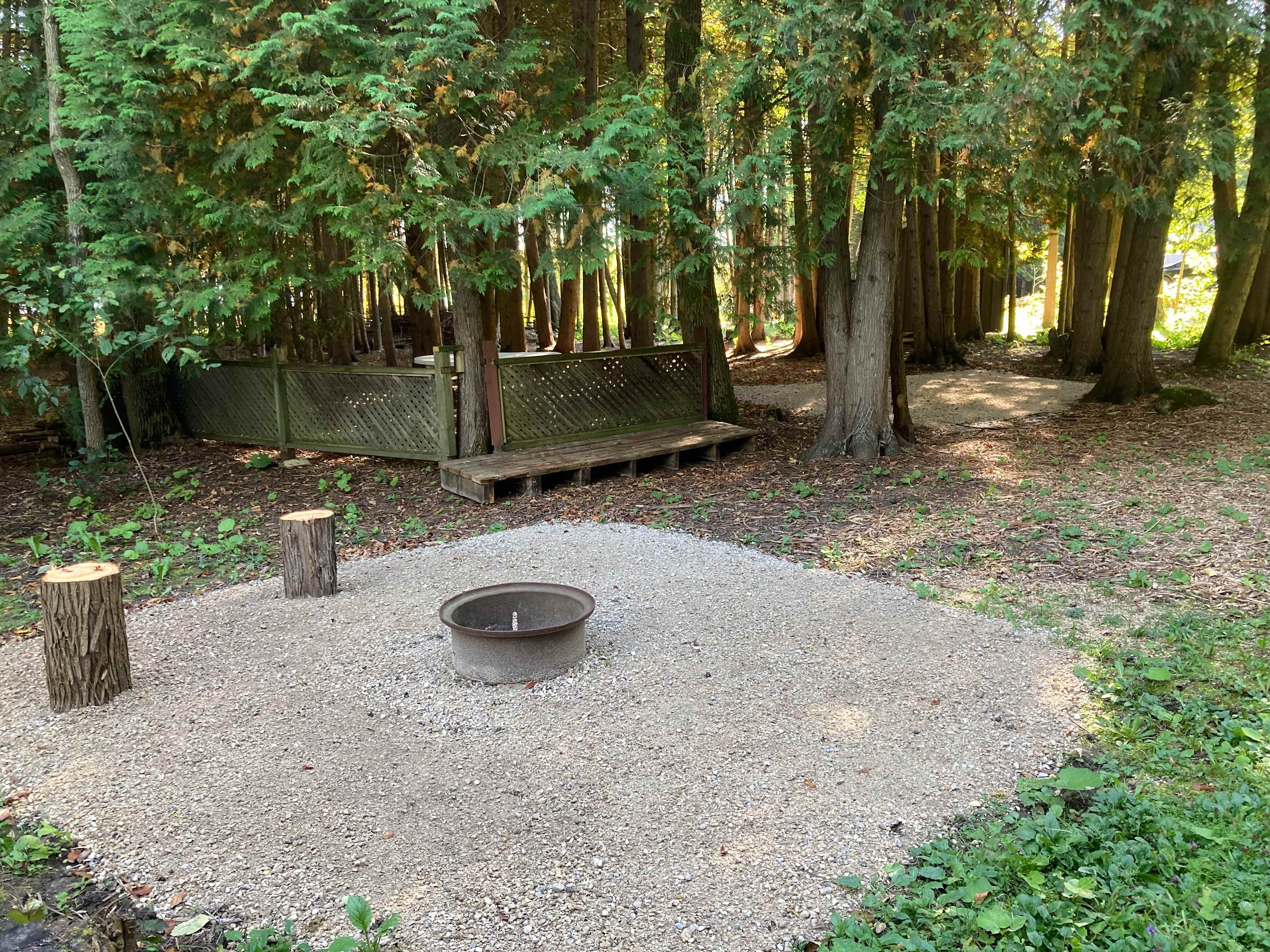 Picture of the site