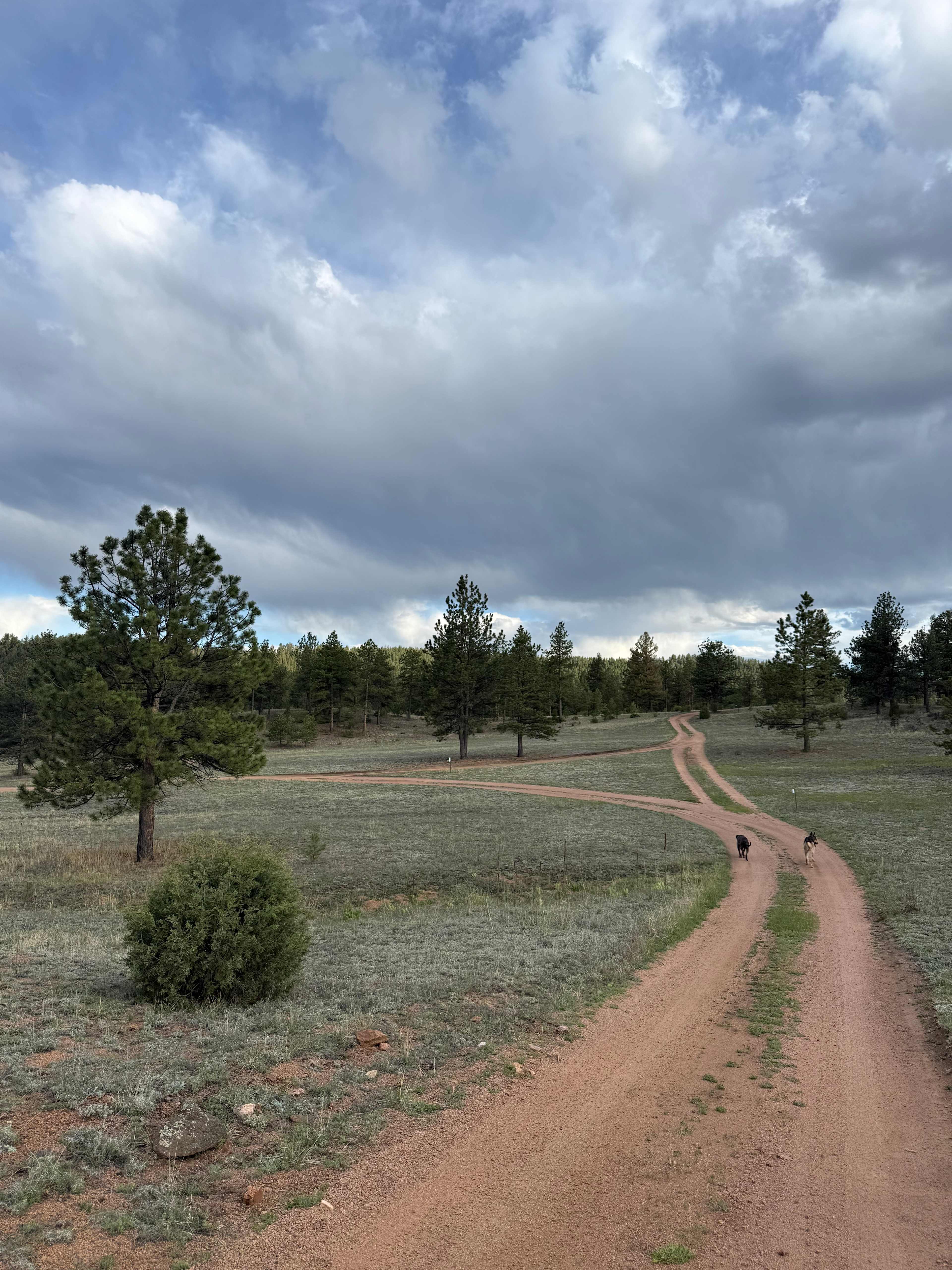 Serenity in the Foothills