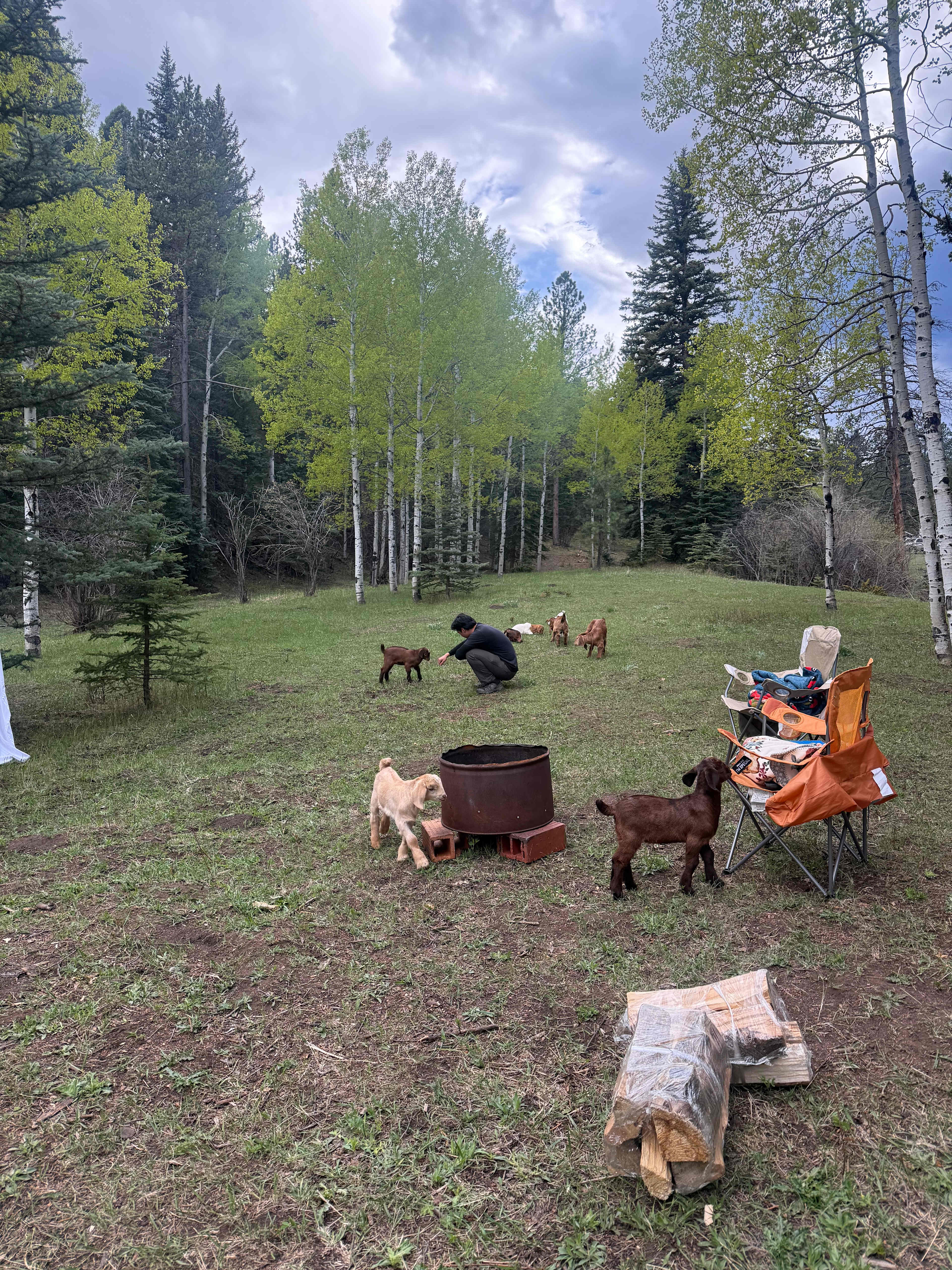 Picture of the site